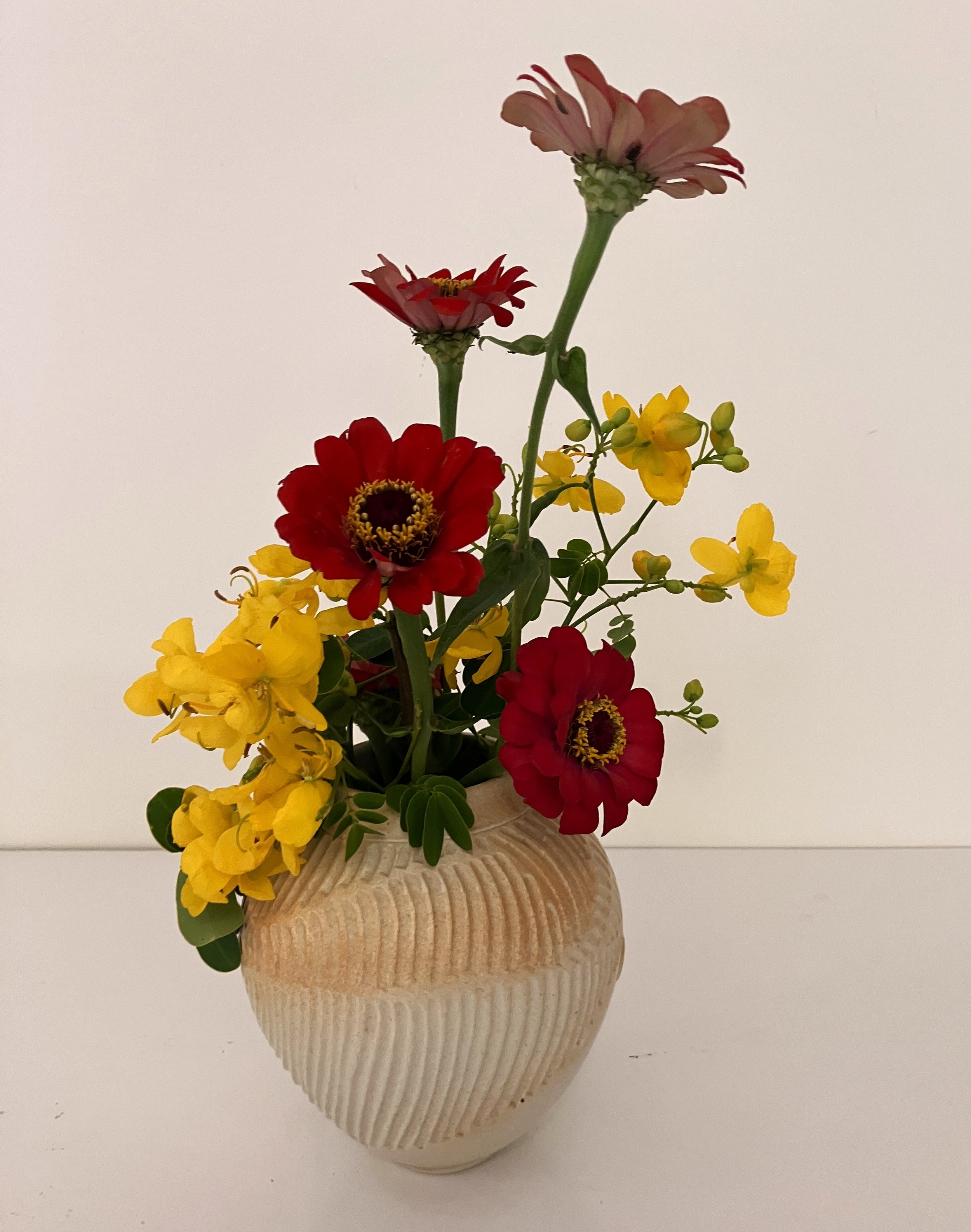 colours in contrast Joy.JPG
