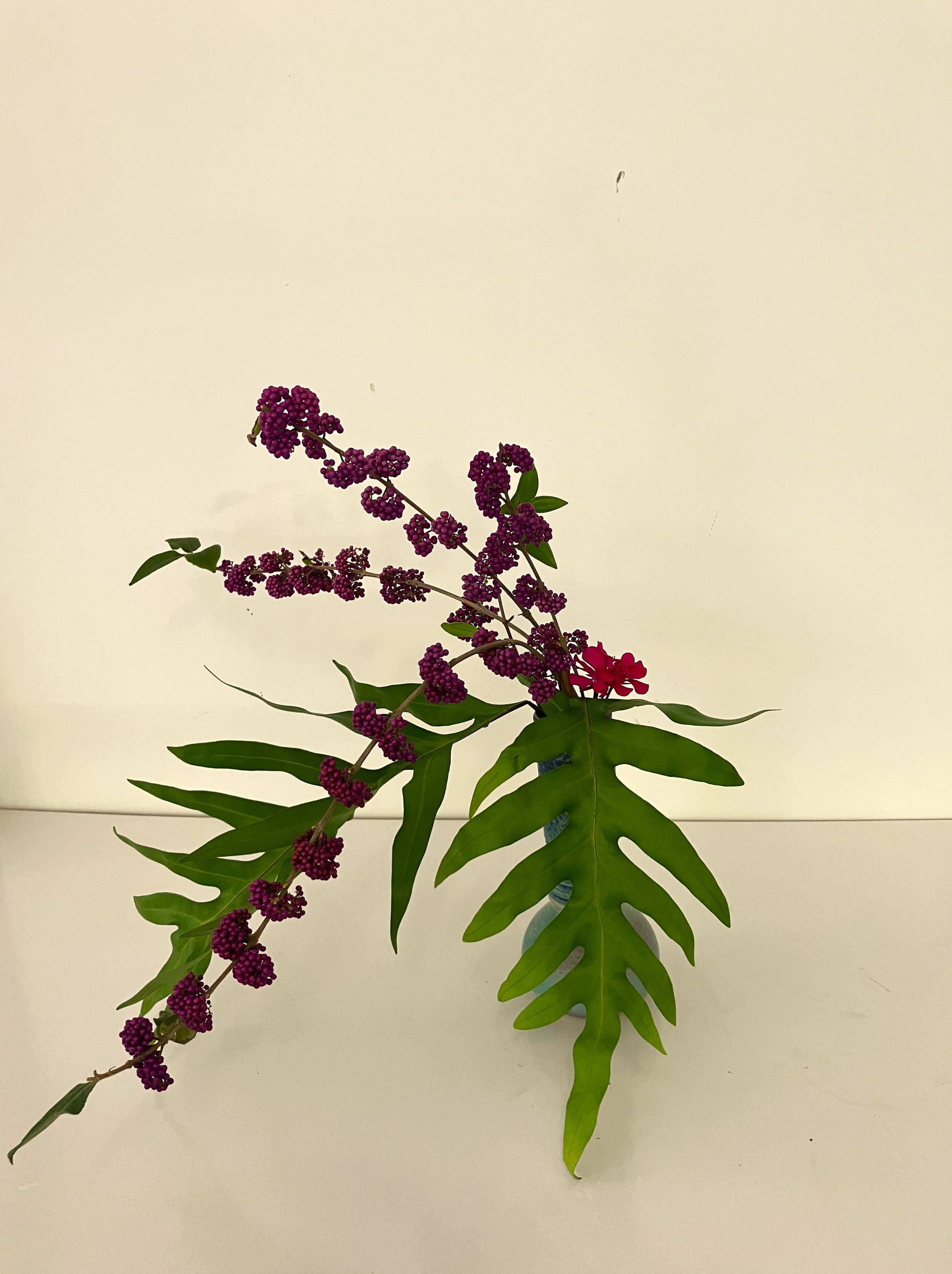 Bernadette color container.JPG