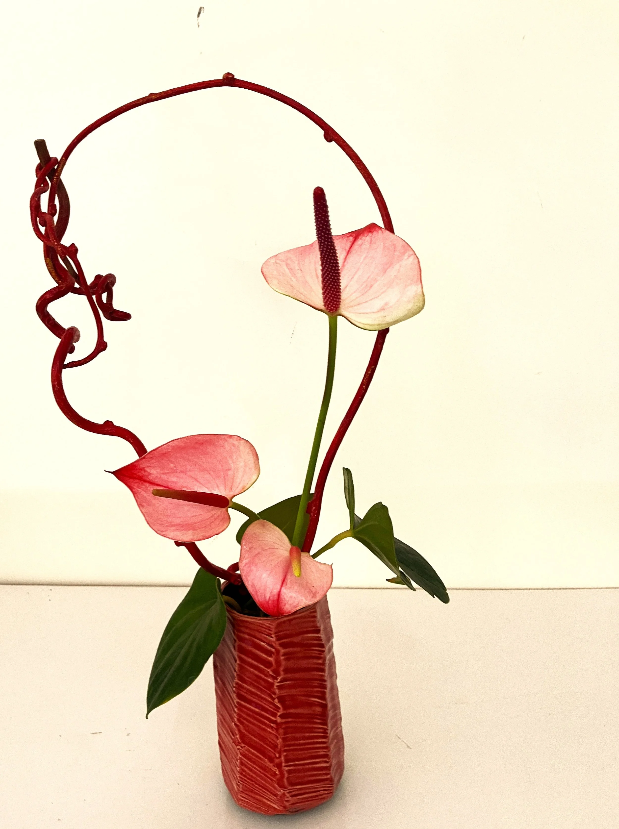 Joy color container 2.JPG