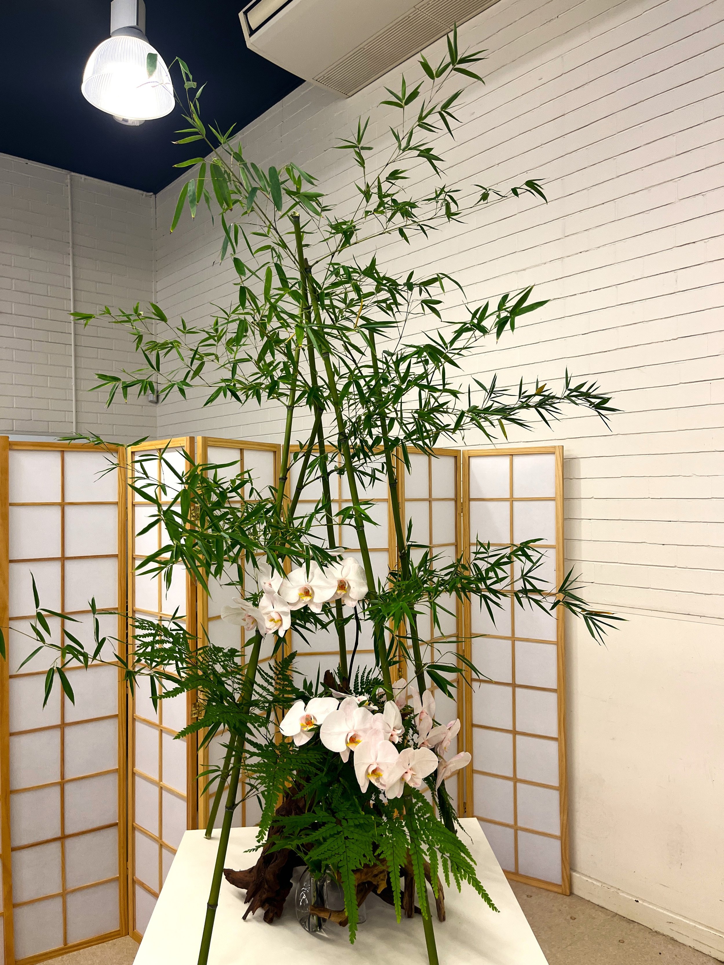 Exhi. Bamboo-Tent.JPG