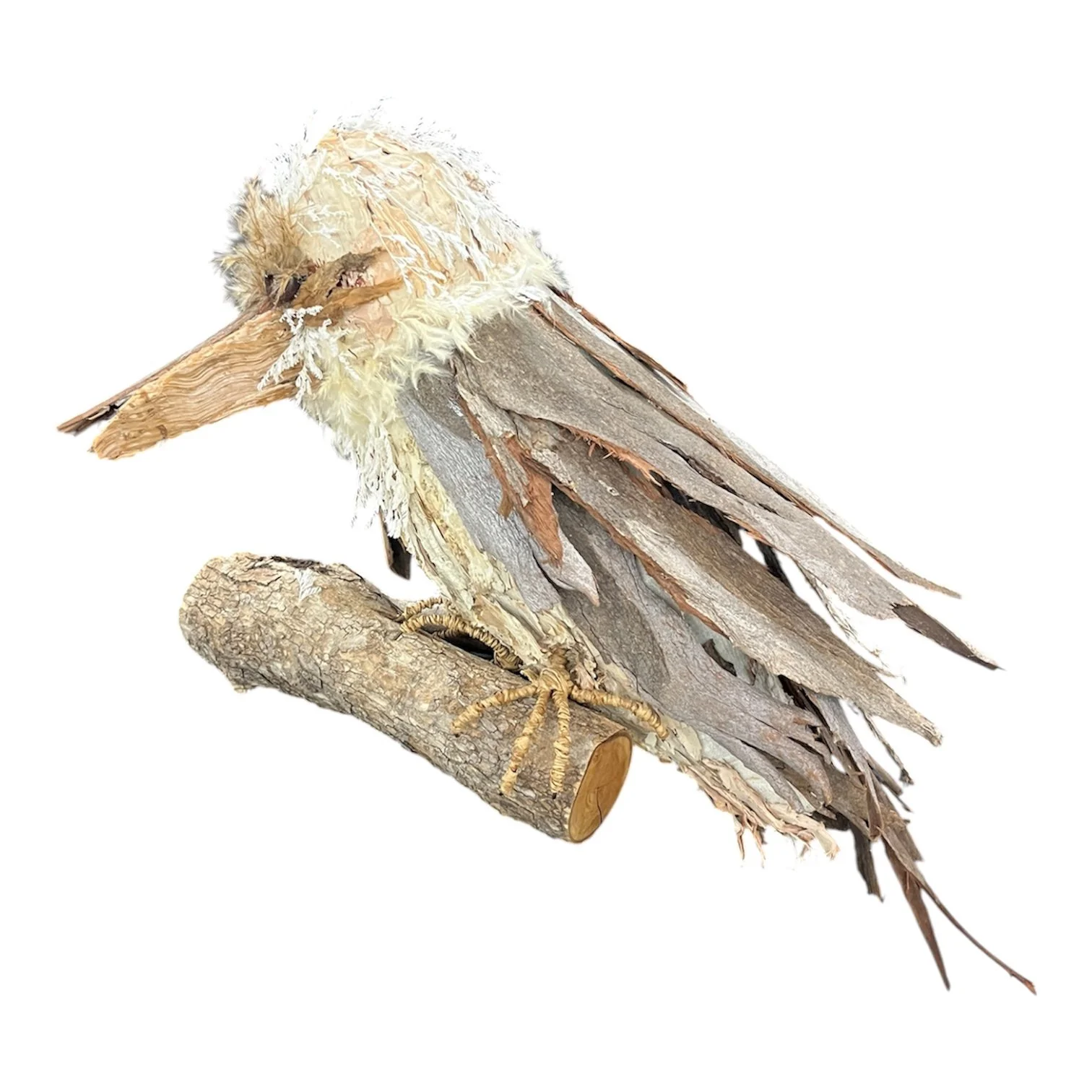 Nambour 2026 Garden creature.JPG