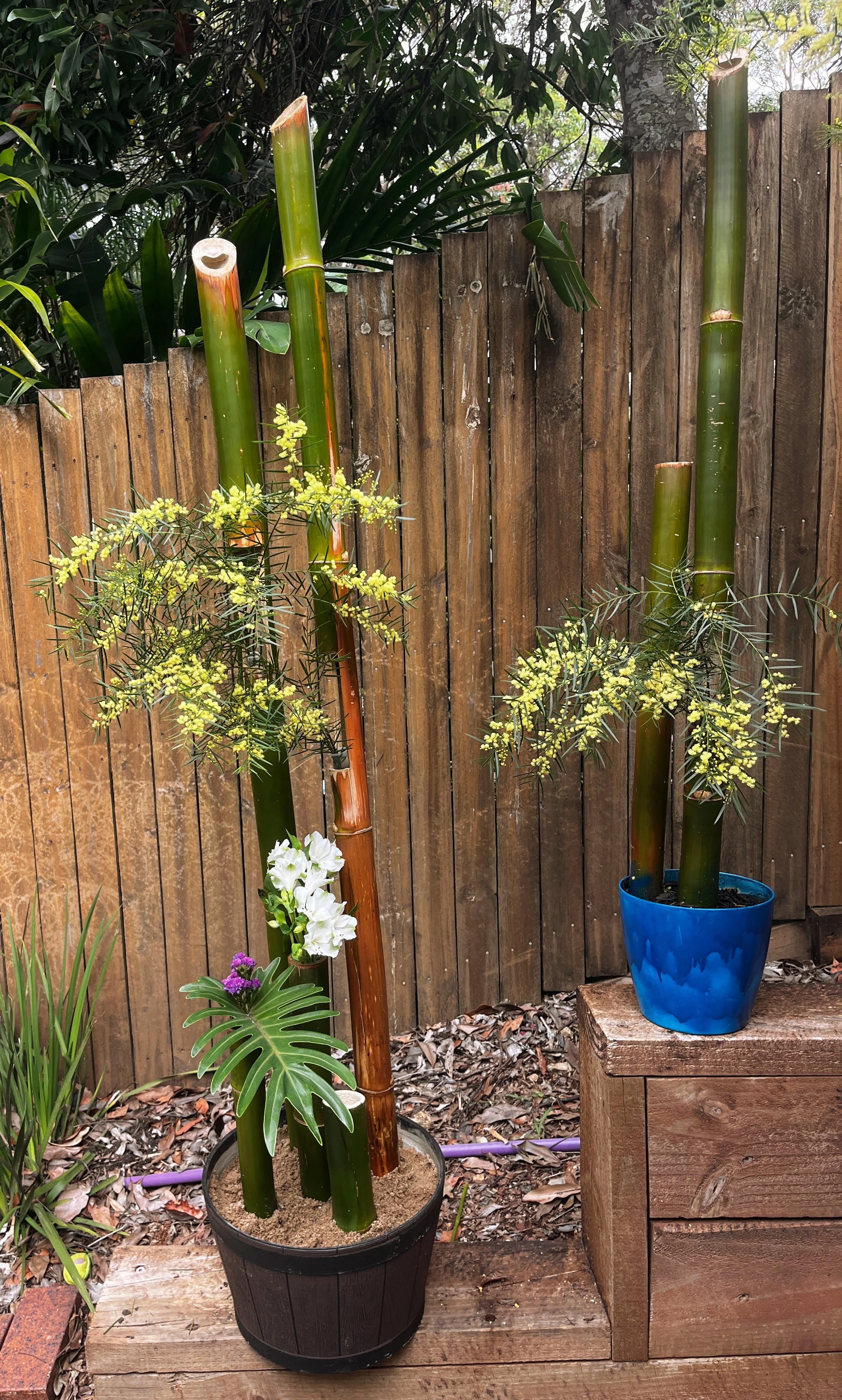 Ella Bamboo-sculpture 3.jpg