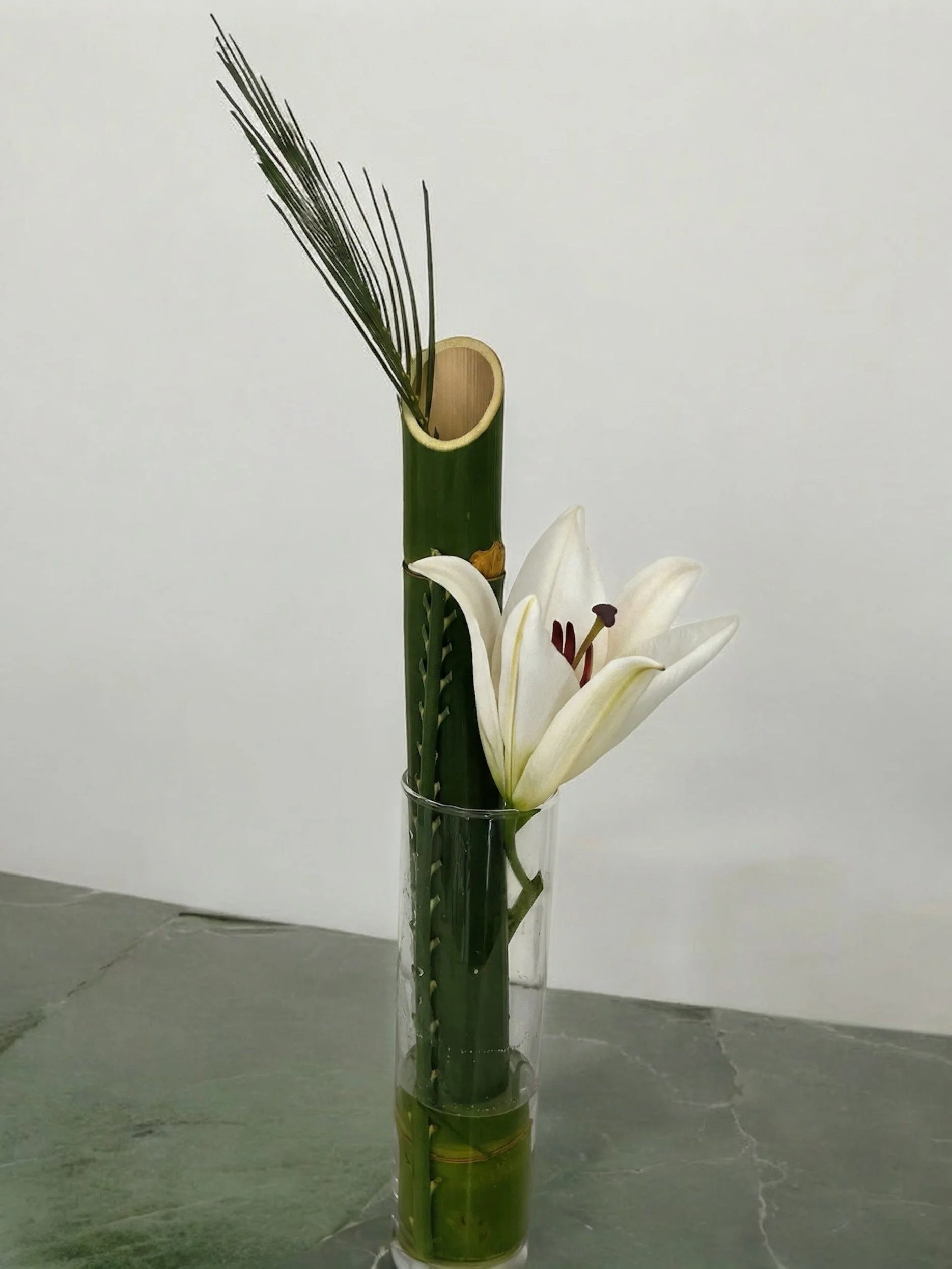 Lynda bamboo.jpg