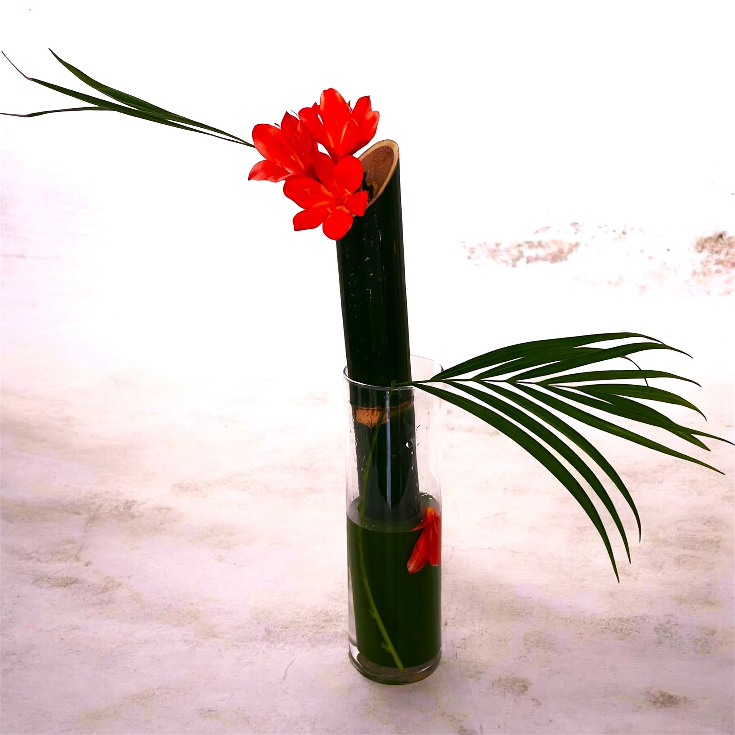 Pat bamboo.jpg