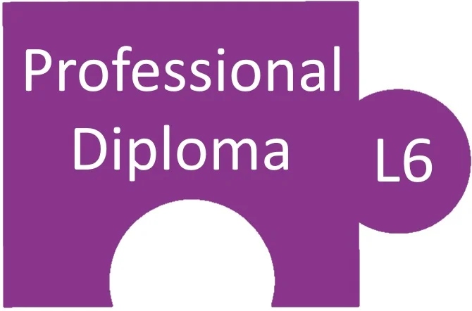 Level 6 Professional Diploma Resources L6M1 Strategic Ethical Leadership L6M2 Global Commercial Strategy L6M3 Global Strategic Supply Chain Management L6M4 Future Strategic Challenges L6M5 Strategic Programme Leadership L6M7 Commercial Data Management L6M8 Innovation in Procurement and Supply L6M9 Supply Network Design L6M10 Global Logistics Strategy