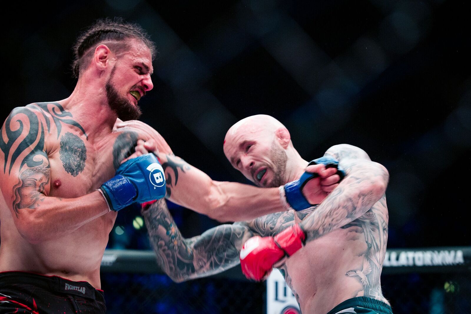 Bellator-200-33_preview.jpeg