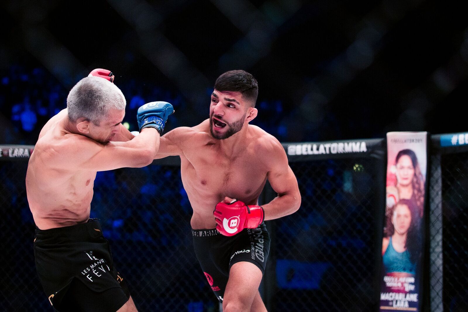 Bellator-200-39_preview.jpeg