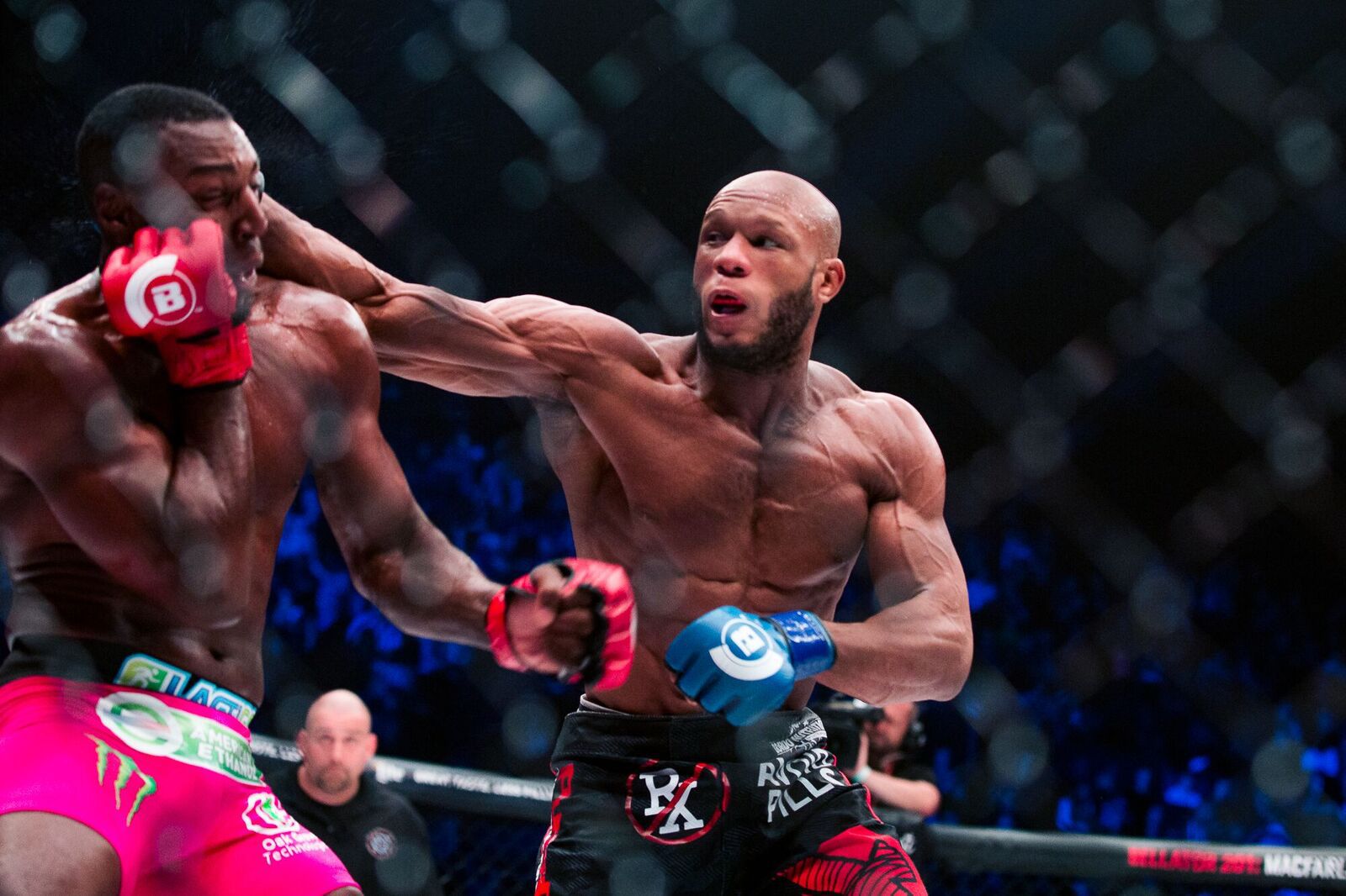 Bellator-200-58_preview.jpeg