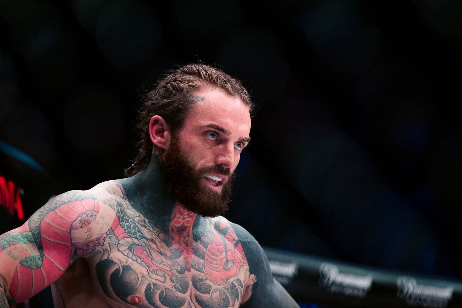 Bellator-200-76_preview.jpeg