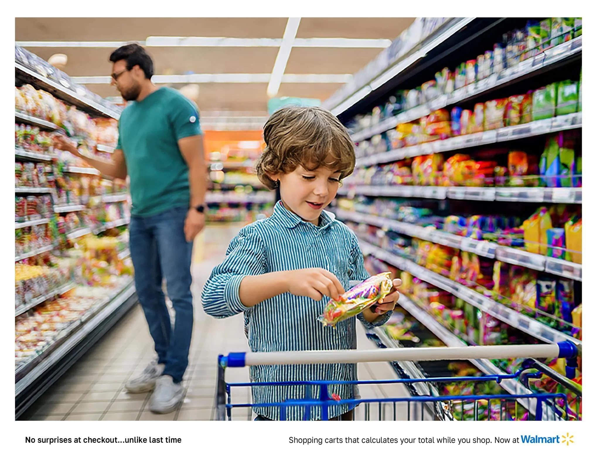 Walmart Calculating Shopping Cart