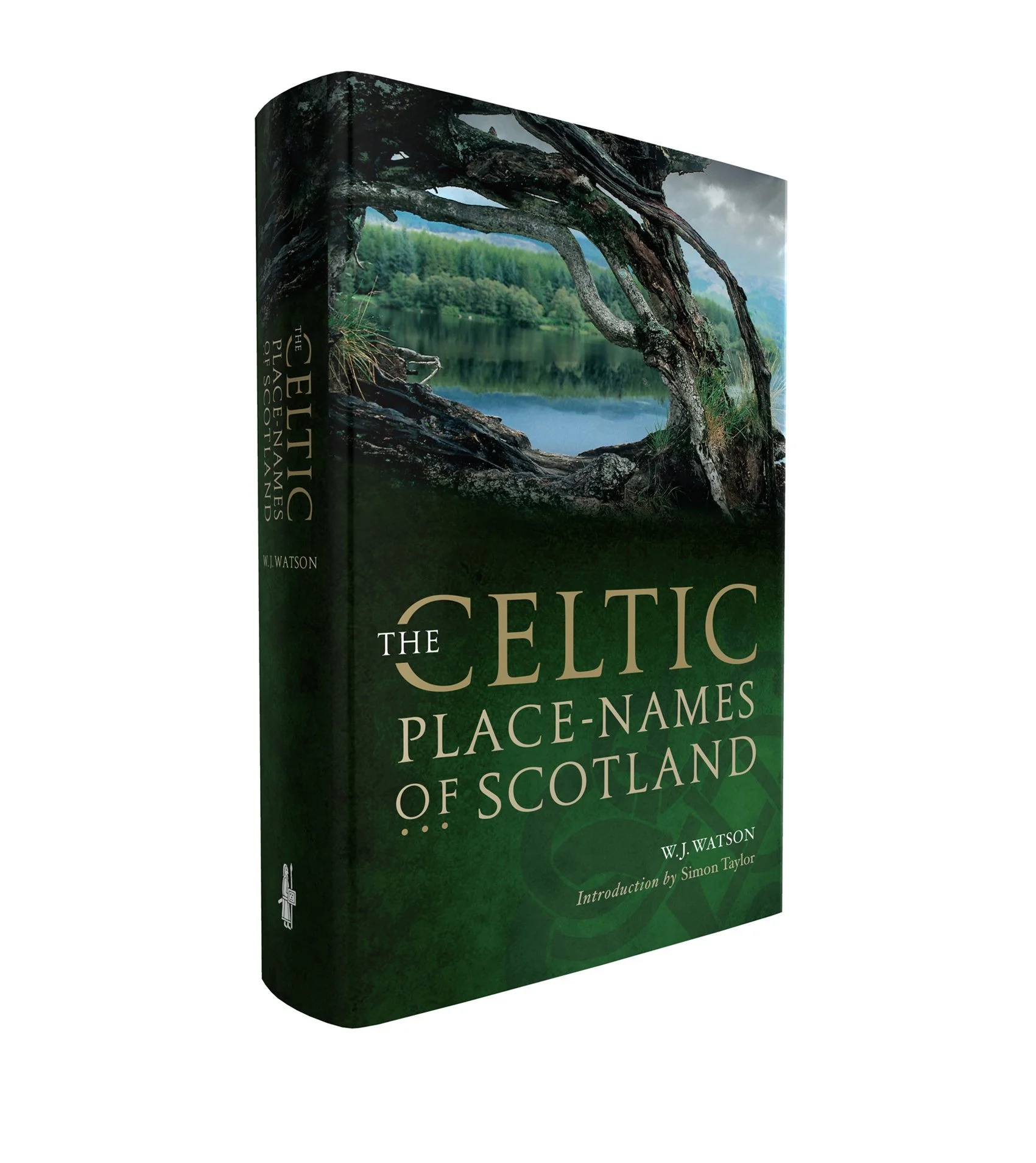 '3D Celticl.jpg