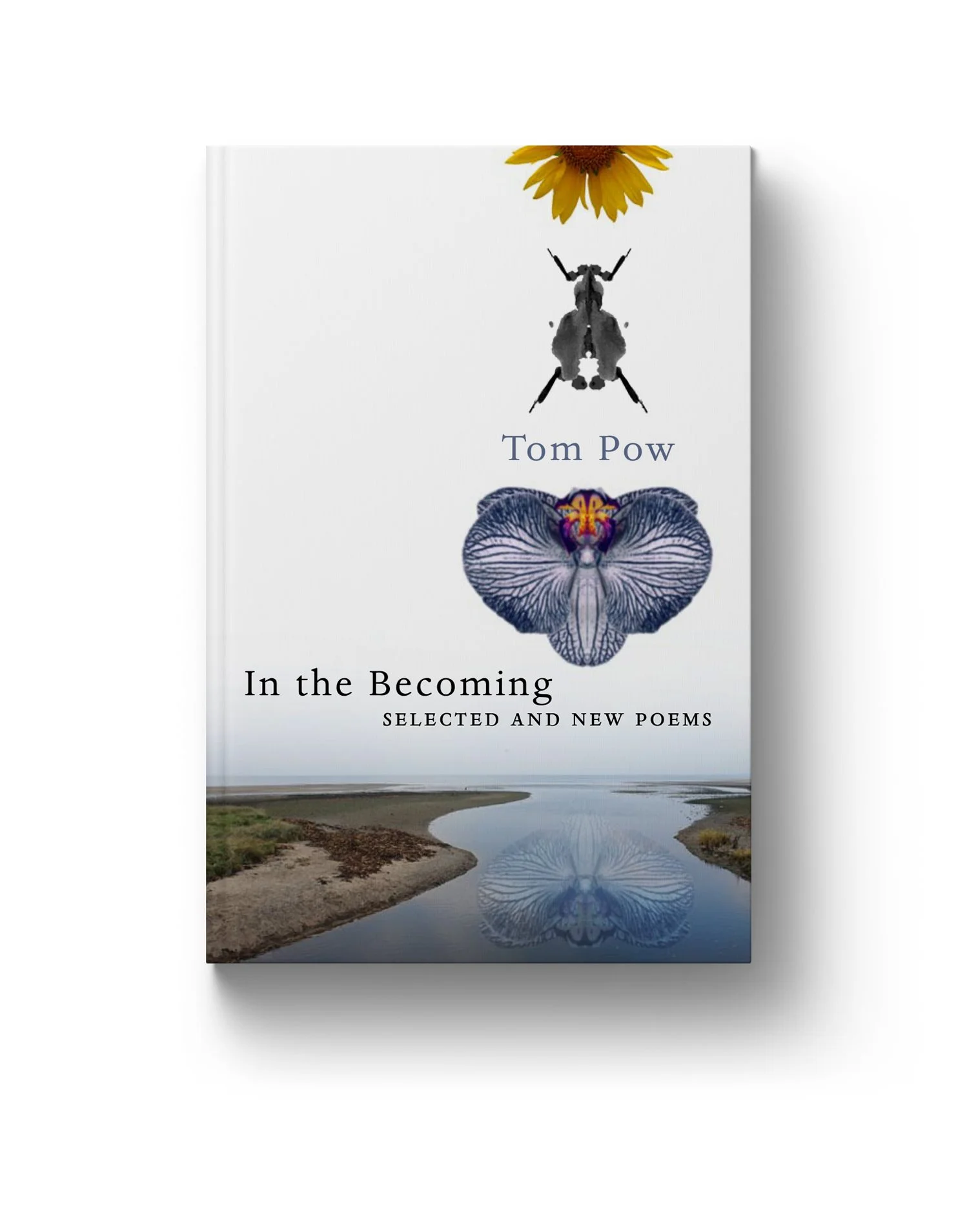   ‘In The Becoming’  by Tom Pow 