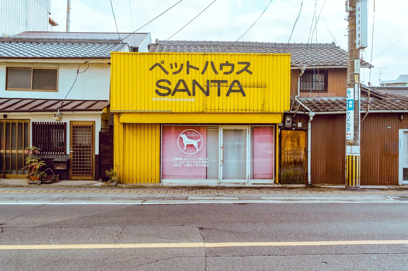 hpn santa.jpg