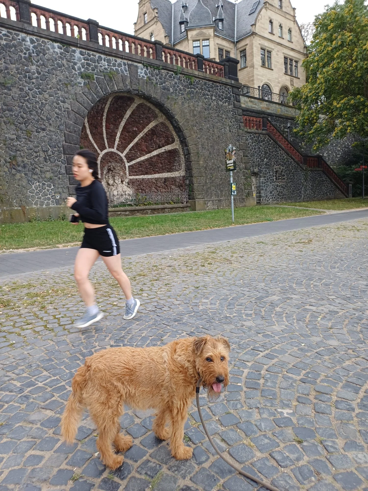 b3e19d6b-bb32-443f-950c-d65278401186.jpeg