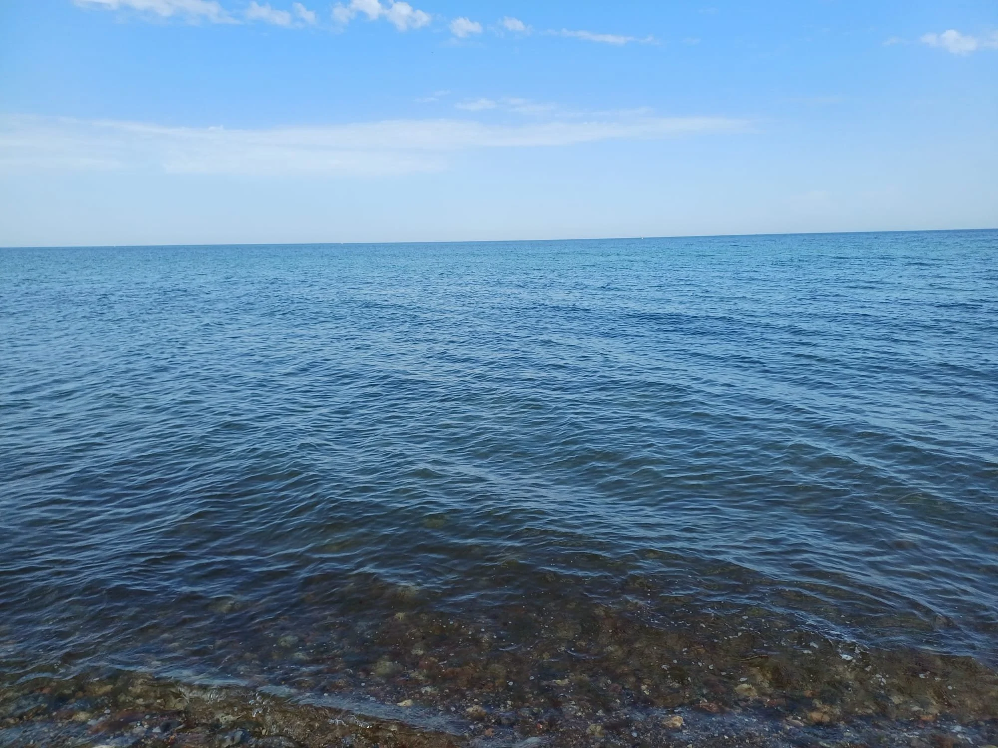 63ca342a-9ca3-4ba9-bb1c-3b23fa5fe5e7.jpeg
