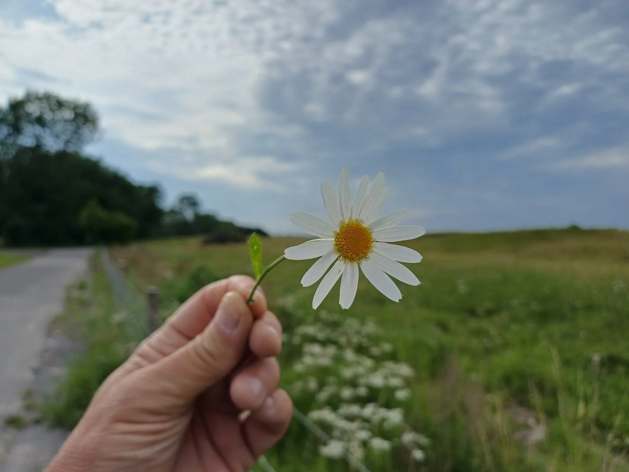 058b34f7-d6c1-49b5-902e-9841f5d12271.jpeg