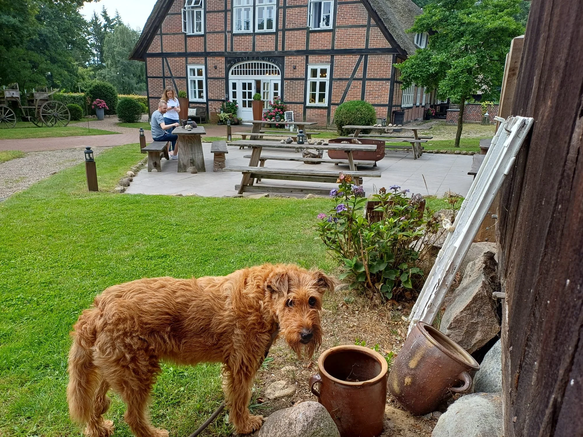 0d752634-315f-4820-a088-f19ad1fe7129.jpeg
