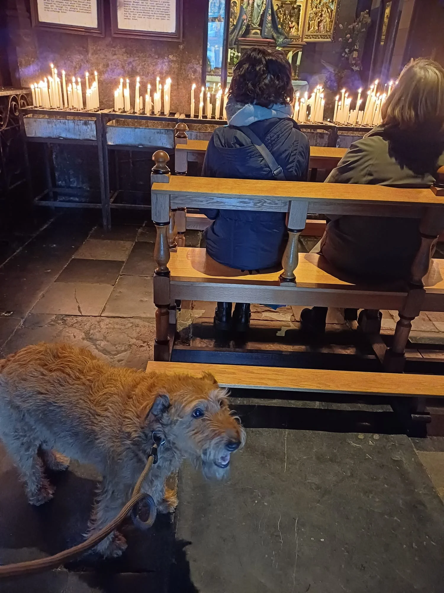 gentle kerk.jpg