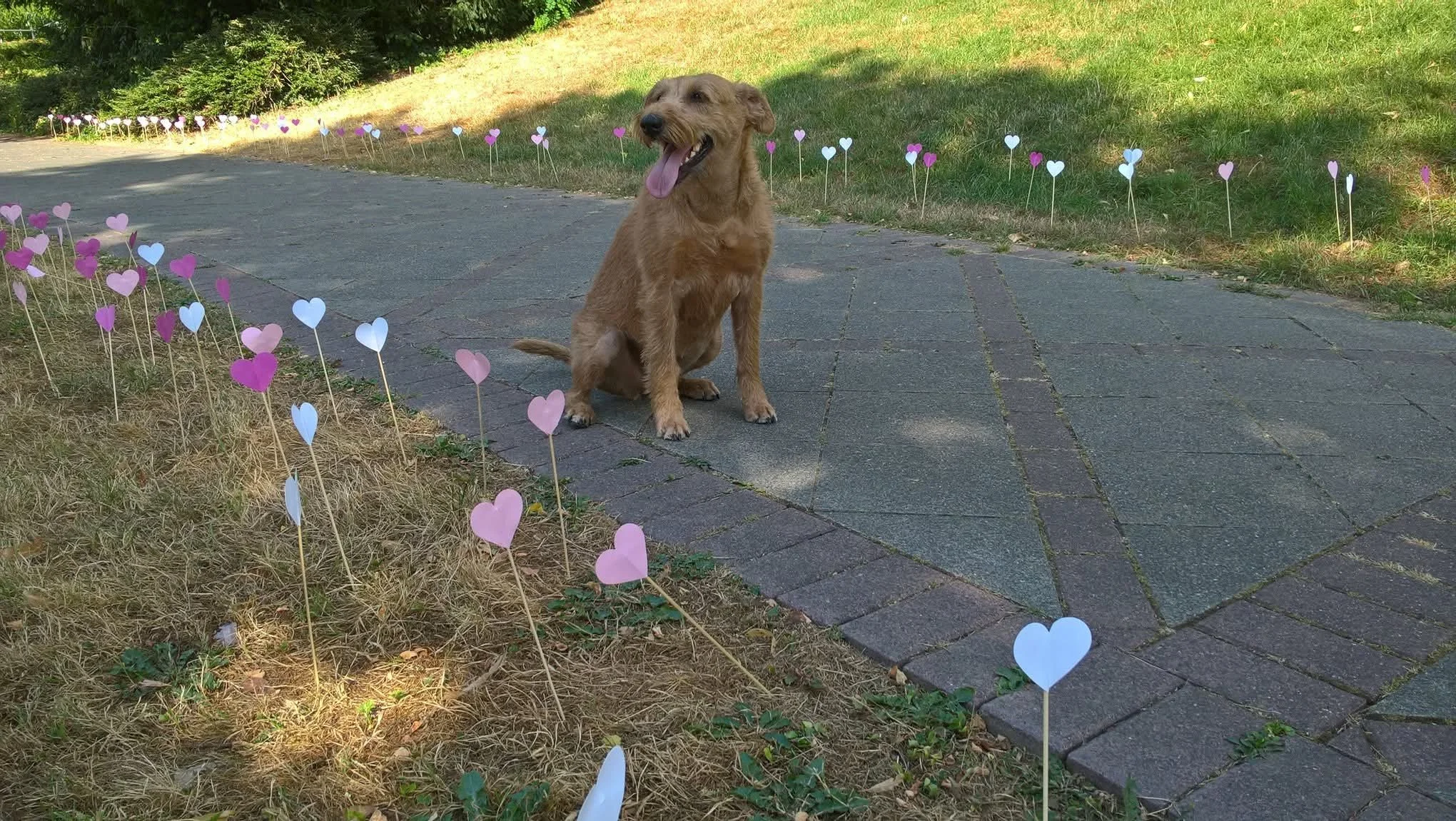 gentle burt.jpg
