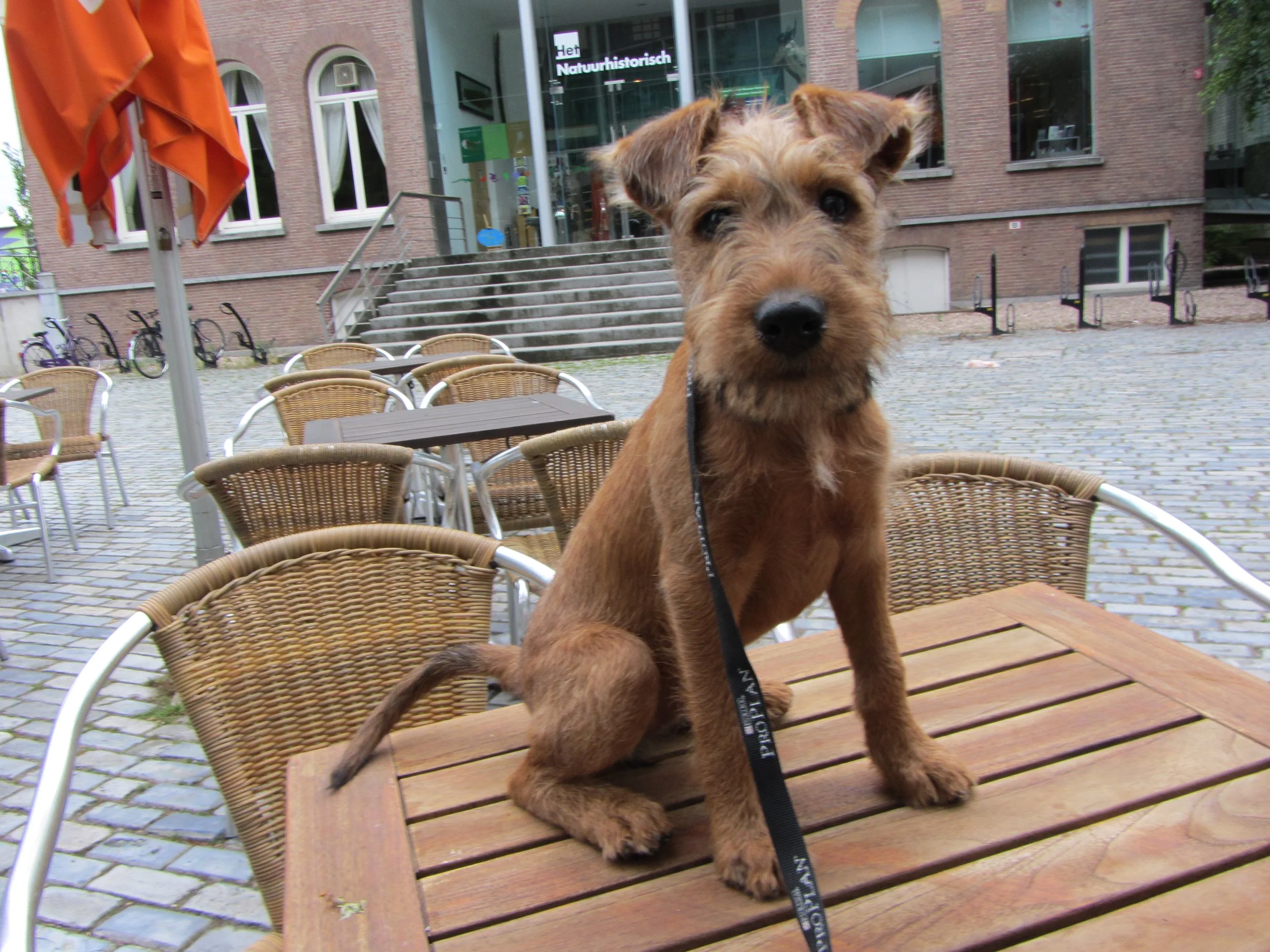 Gwenrtle erot zomervakantie 2012 Rotterdam en Zwitserland 048.jpg
