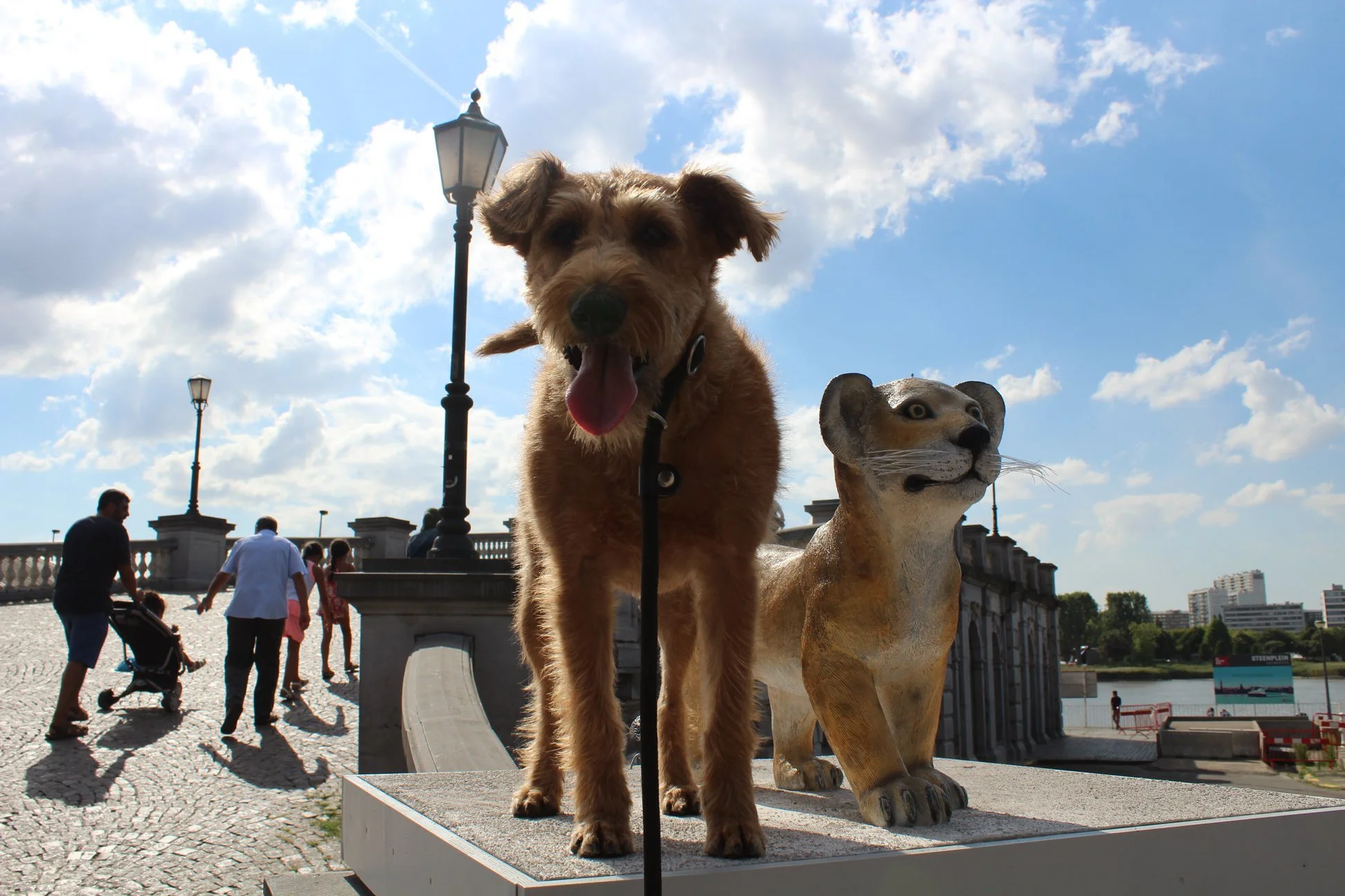 Gentle antwerpen.jpg