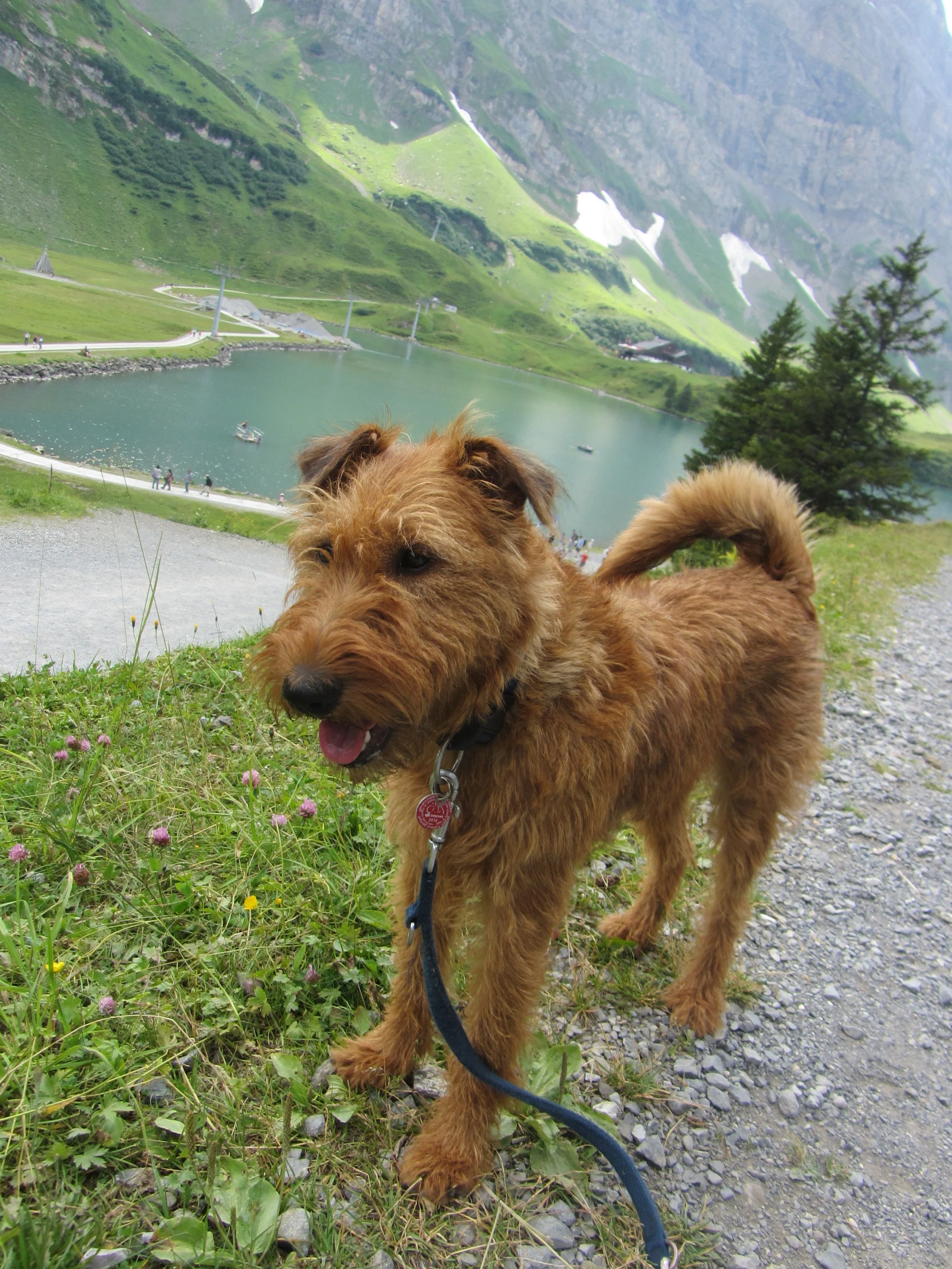 gentle luzern 2013.jpg