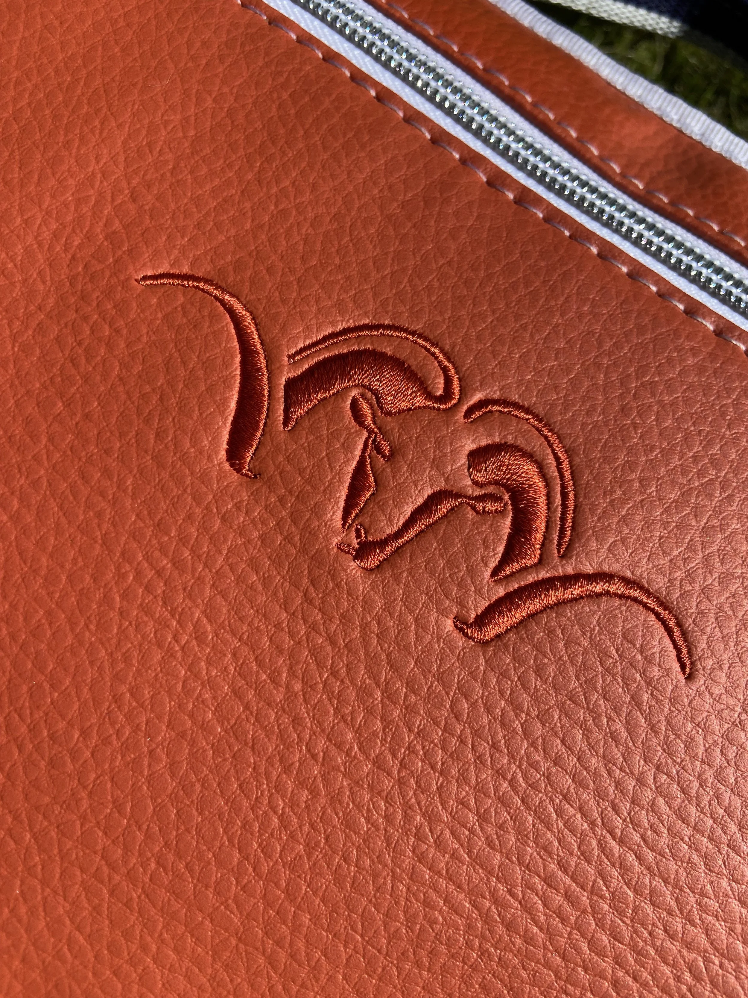 Blaser Argalistick groß.JPG