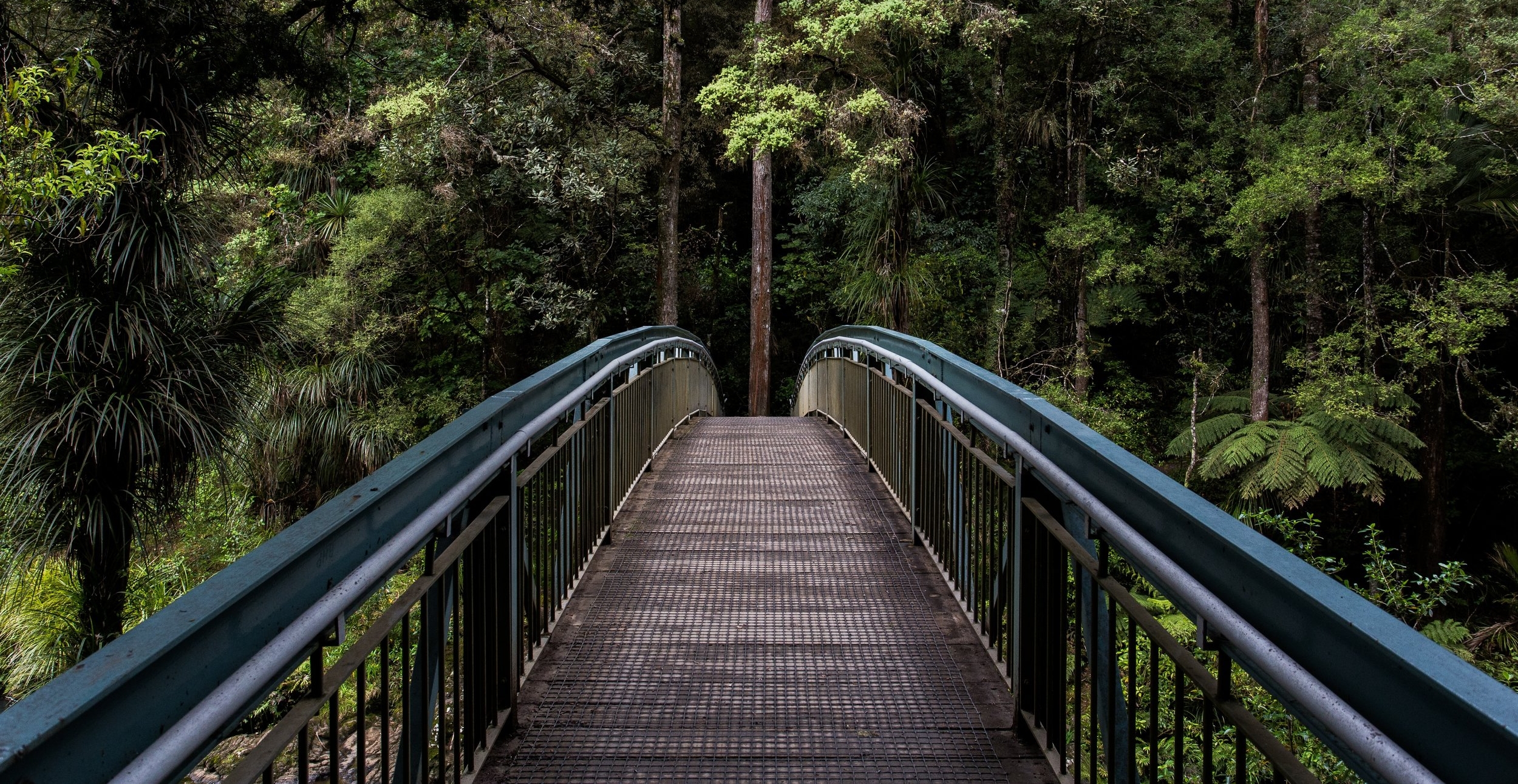 bridge-1082117.jpg