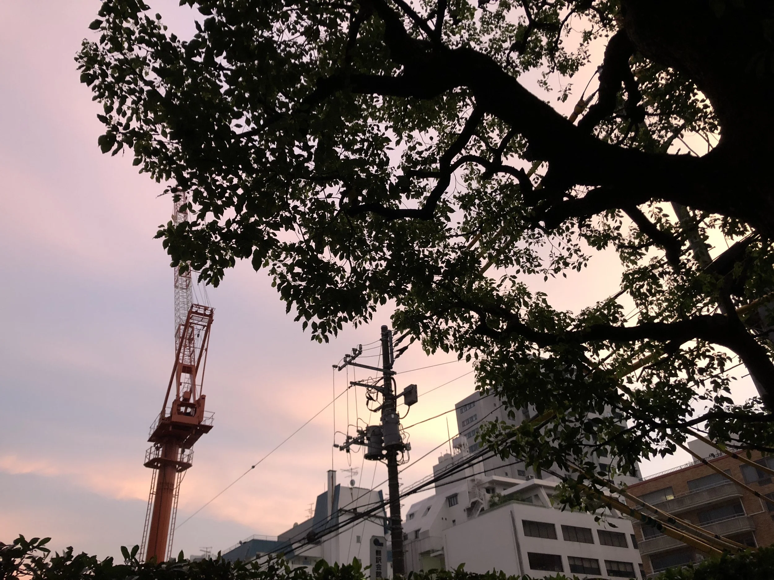 情熱の見つけ方