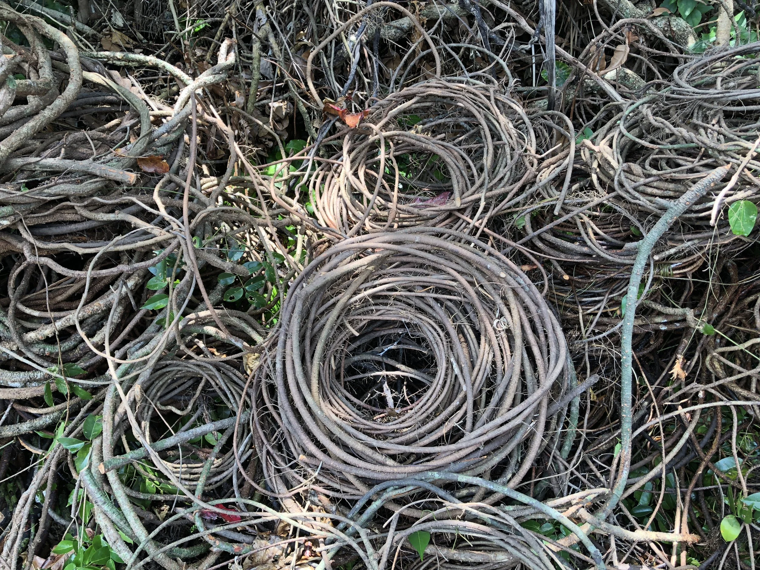 自分は何者なのか問題（沖縄にて）