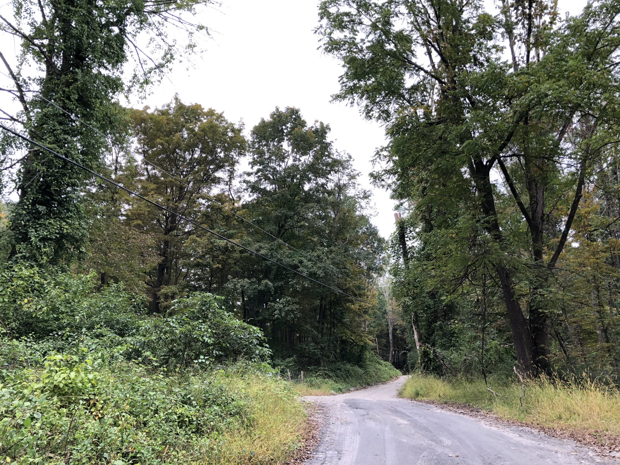 ありがとインターネット