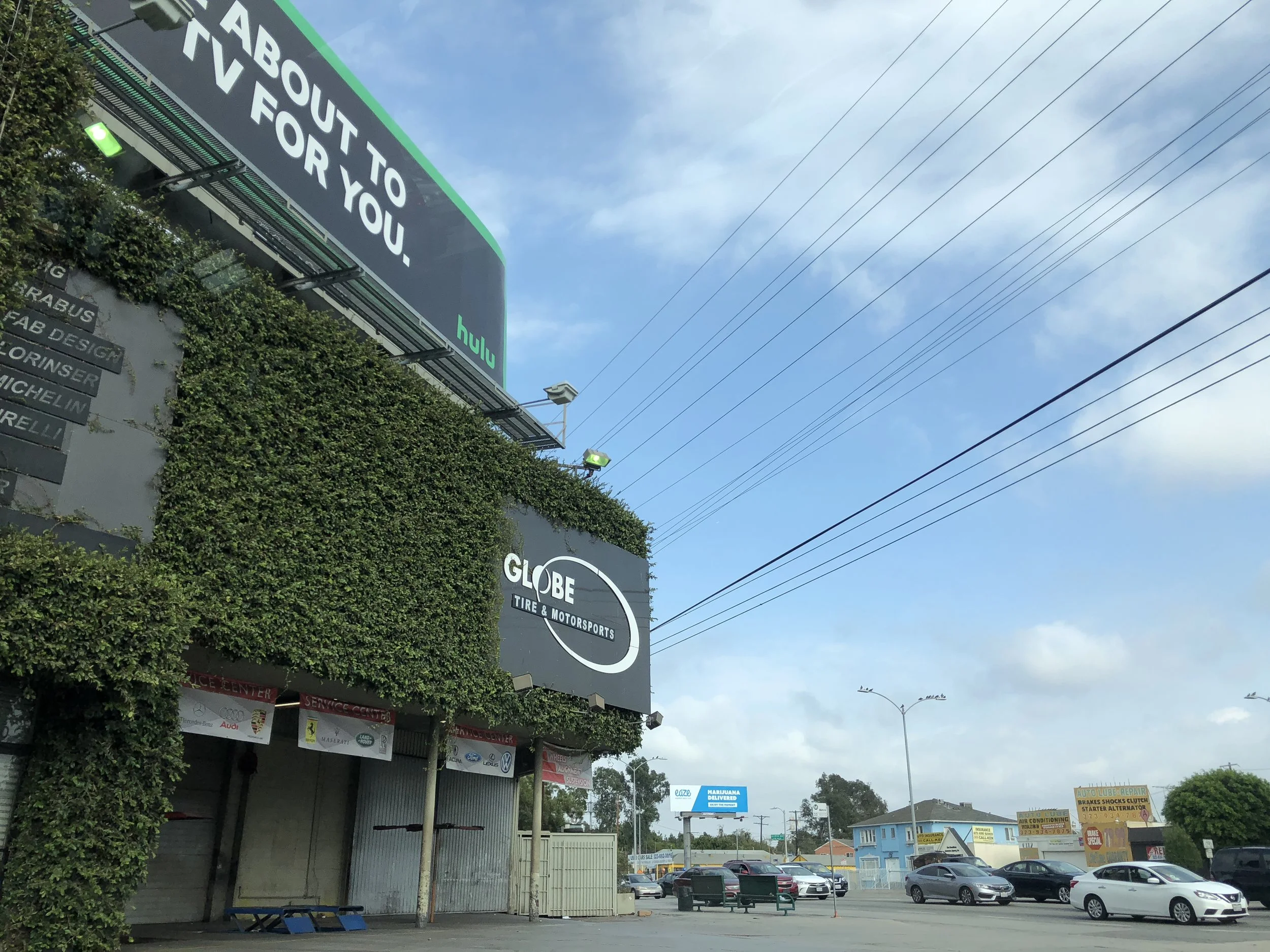 カリフォルニアをうらやむ