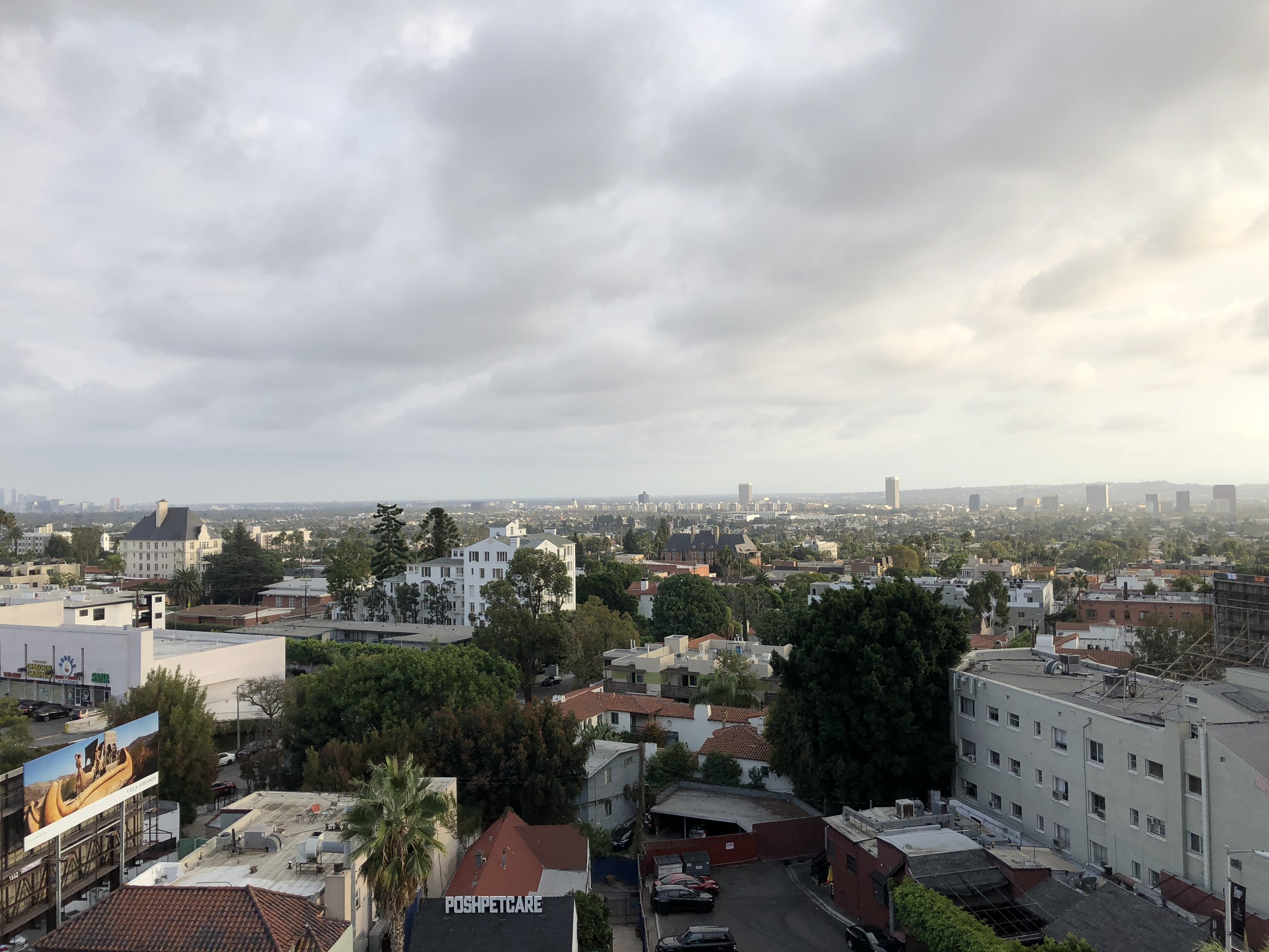 テイラー・スウィフトの政治的影響力