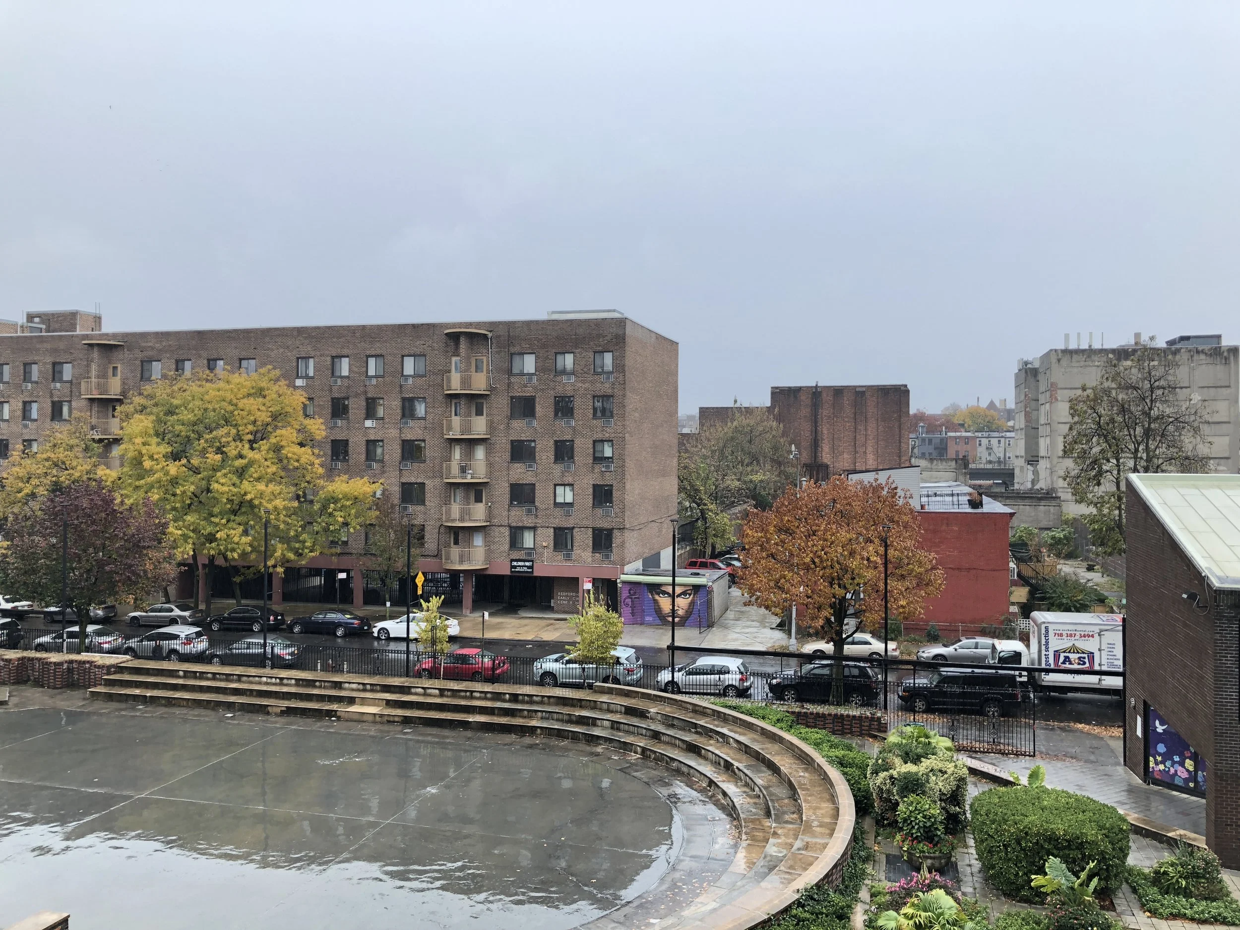 女性の有権者たち 