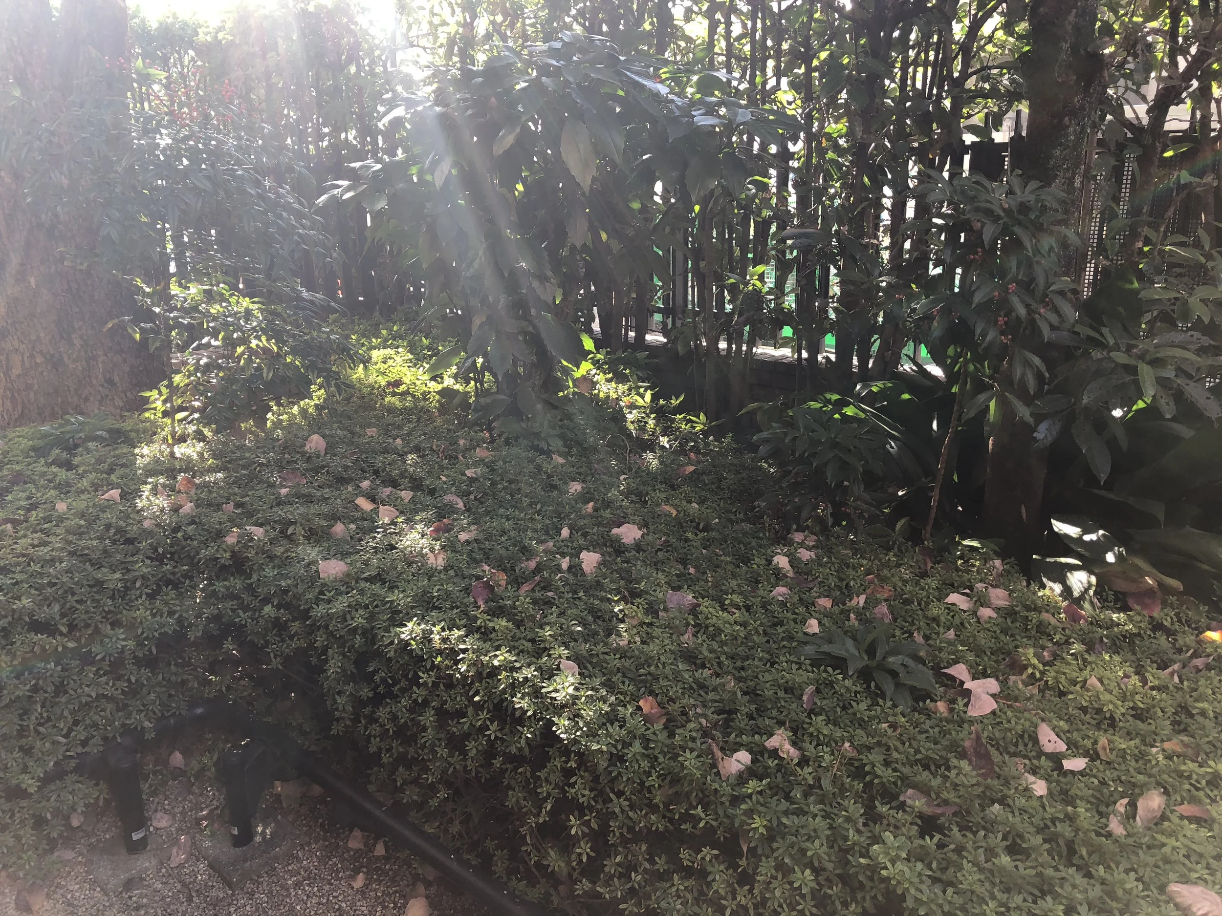 多様性と経済的合理性