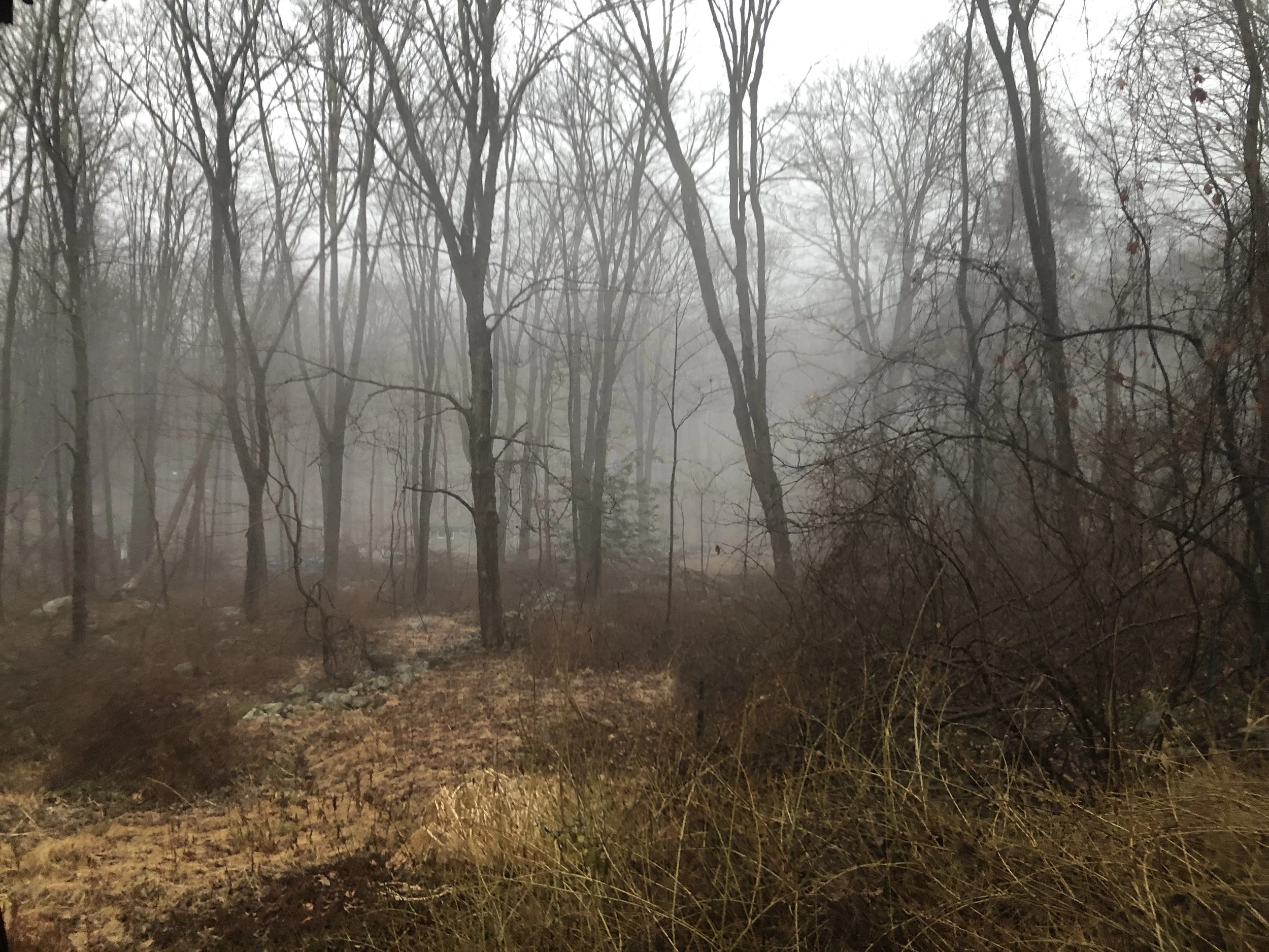 ニュースジャンキー