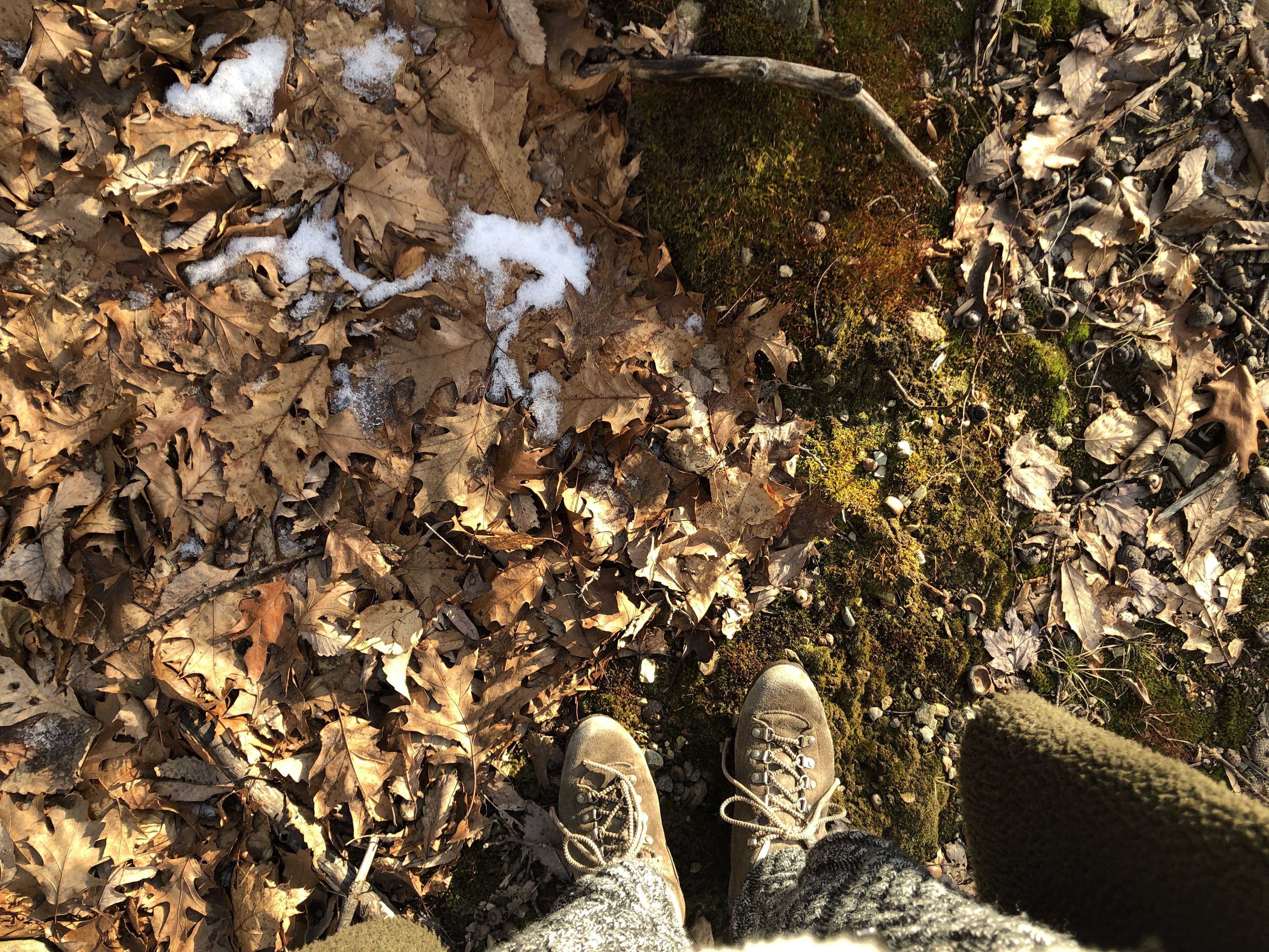 日本人のホワイトウォッシュ