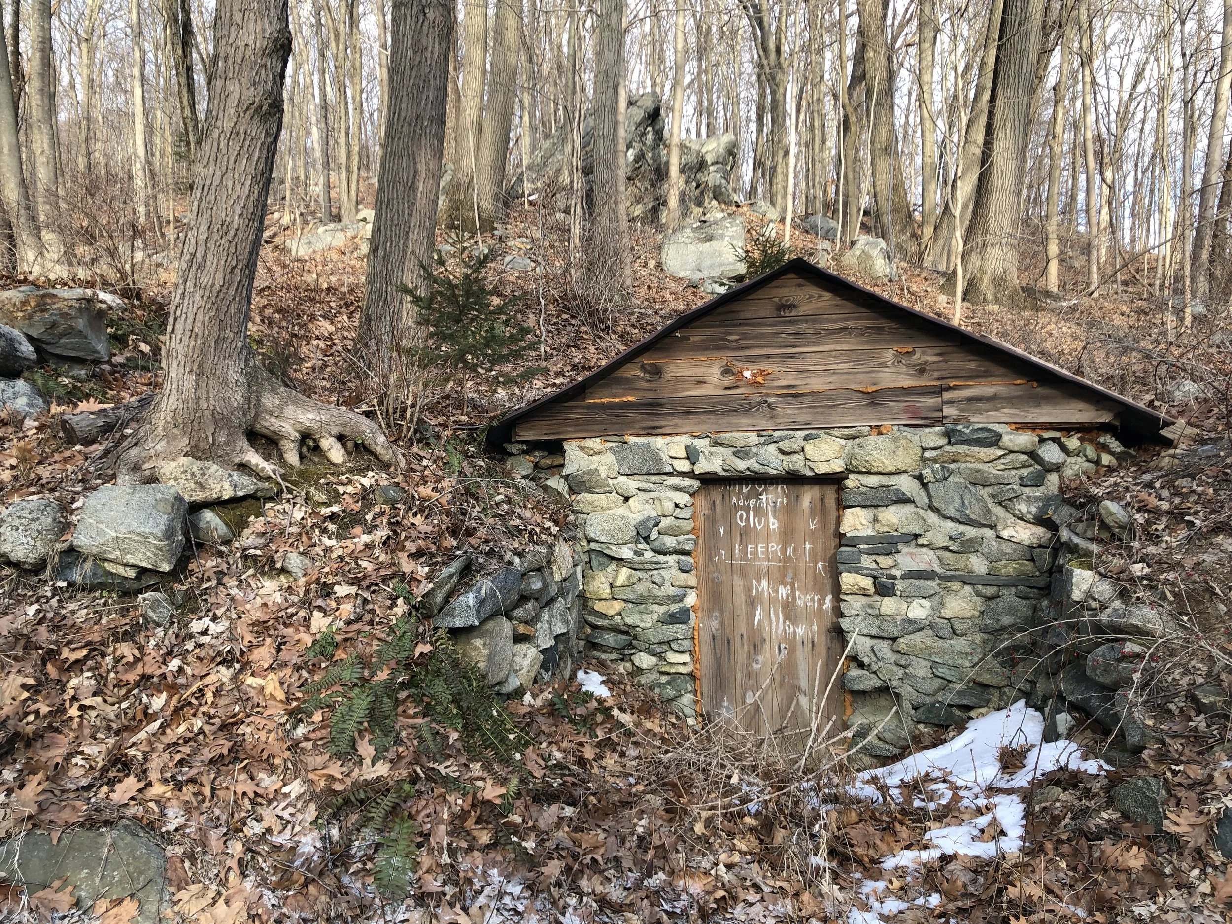 映画Weed the People　大麻が救う命の物語