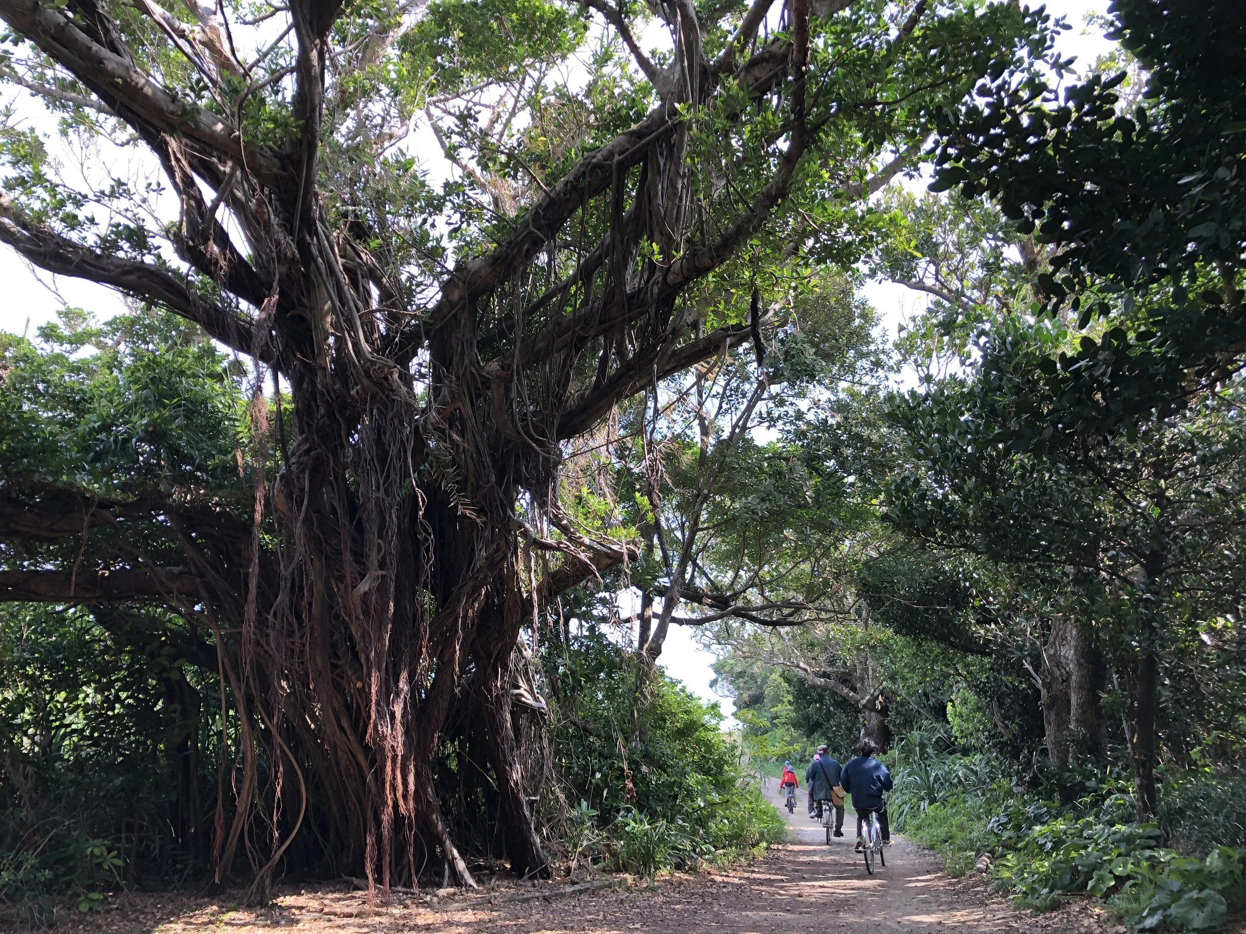 沖縄にて25年ぶりの再会