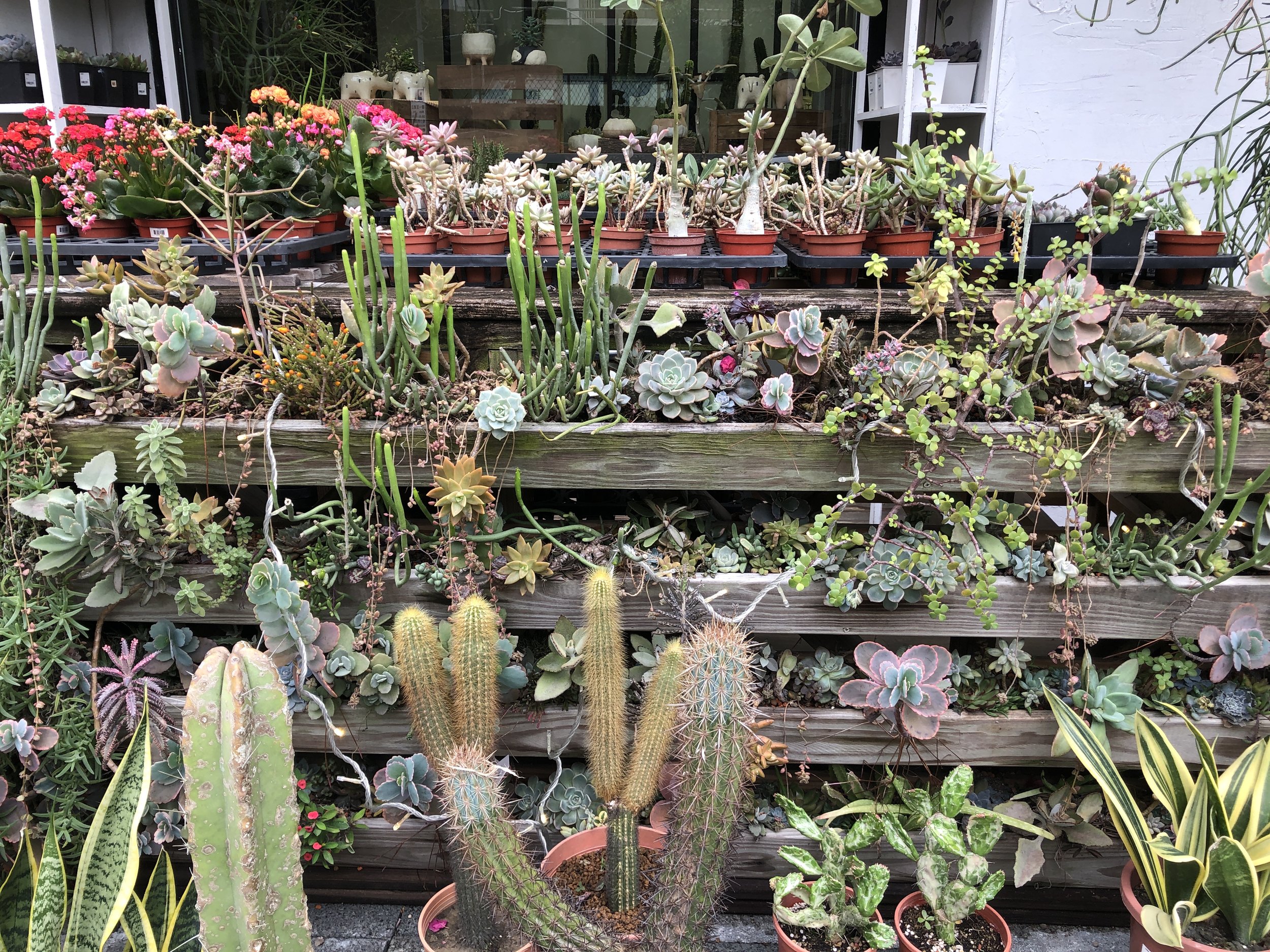 それは本当に必要なものなのか