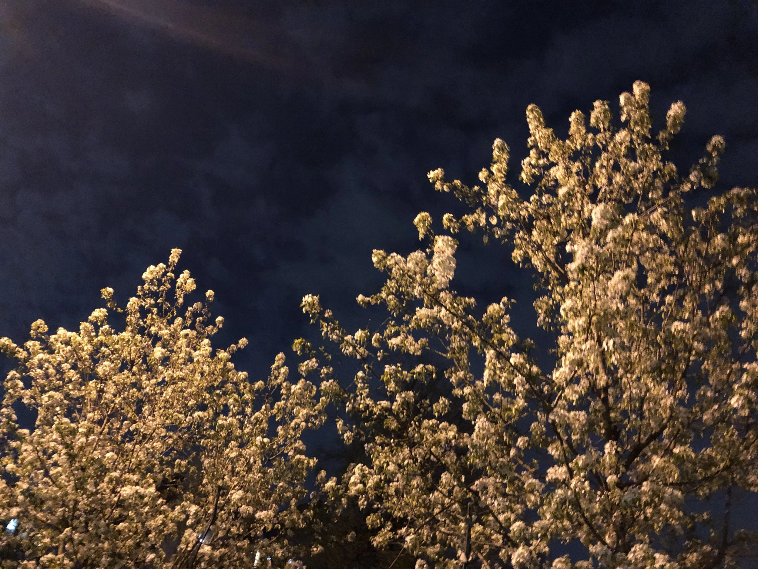 ムラー捜査官によるトランプ捜査ダイジェスト