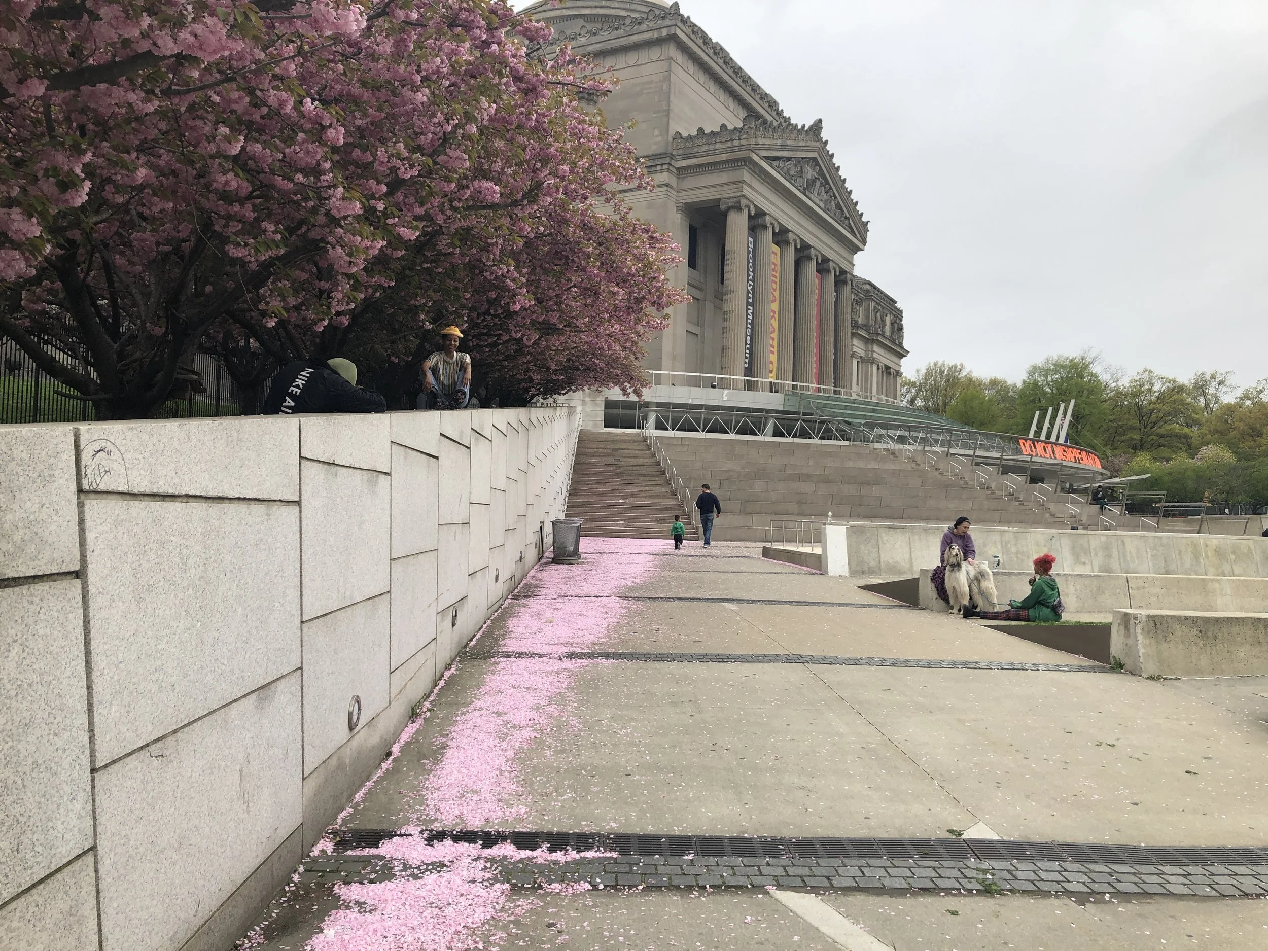 フリーダ・カーロとセクシズム
