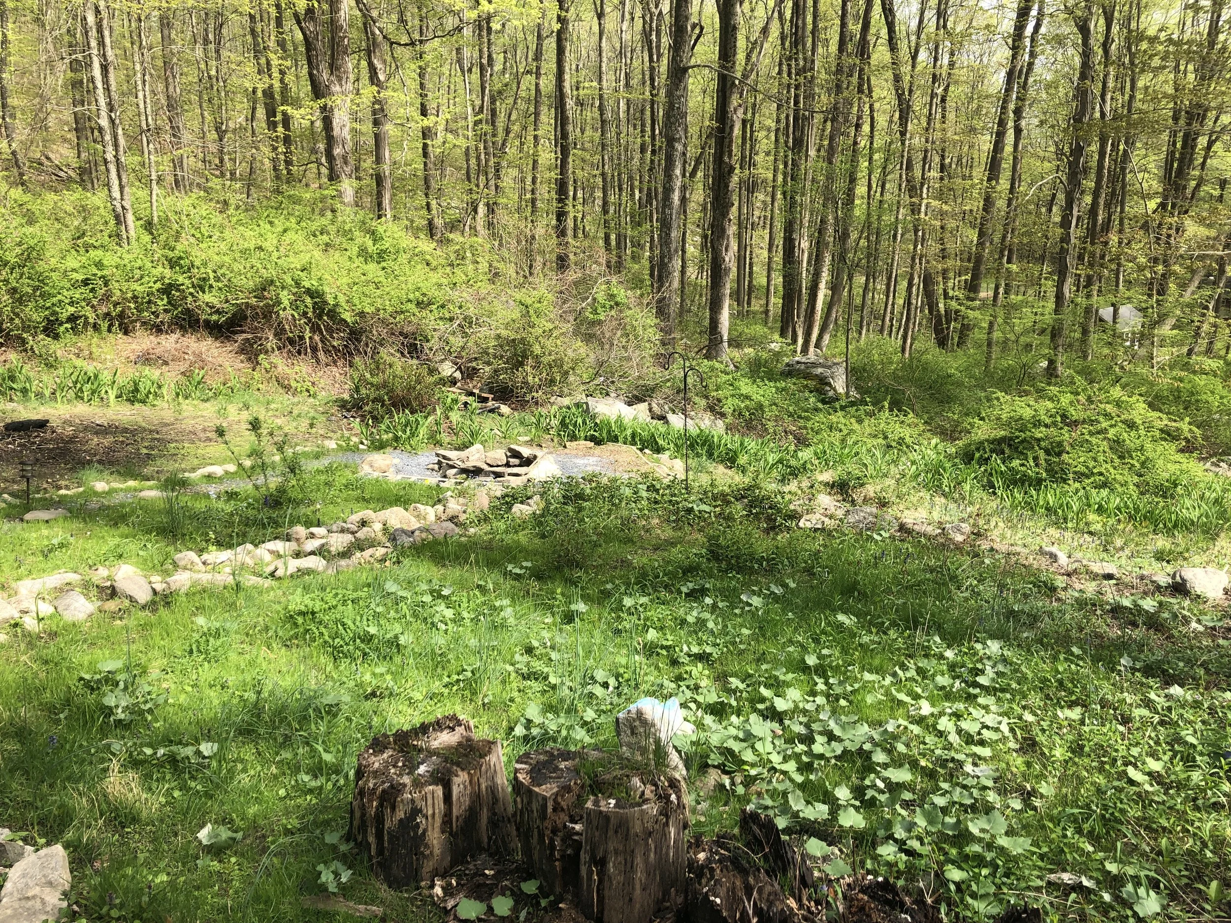 ガーデニングとウェルネス