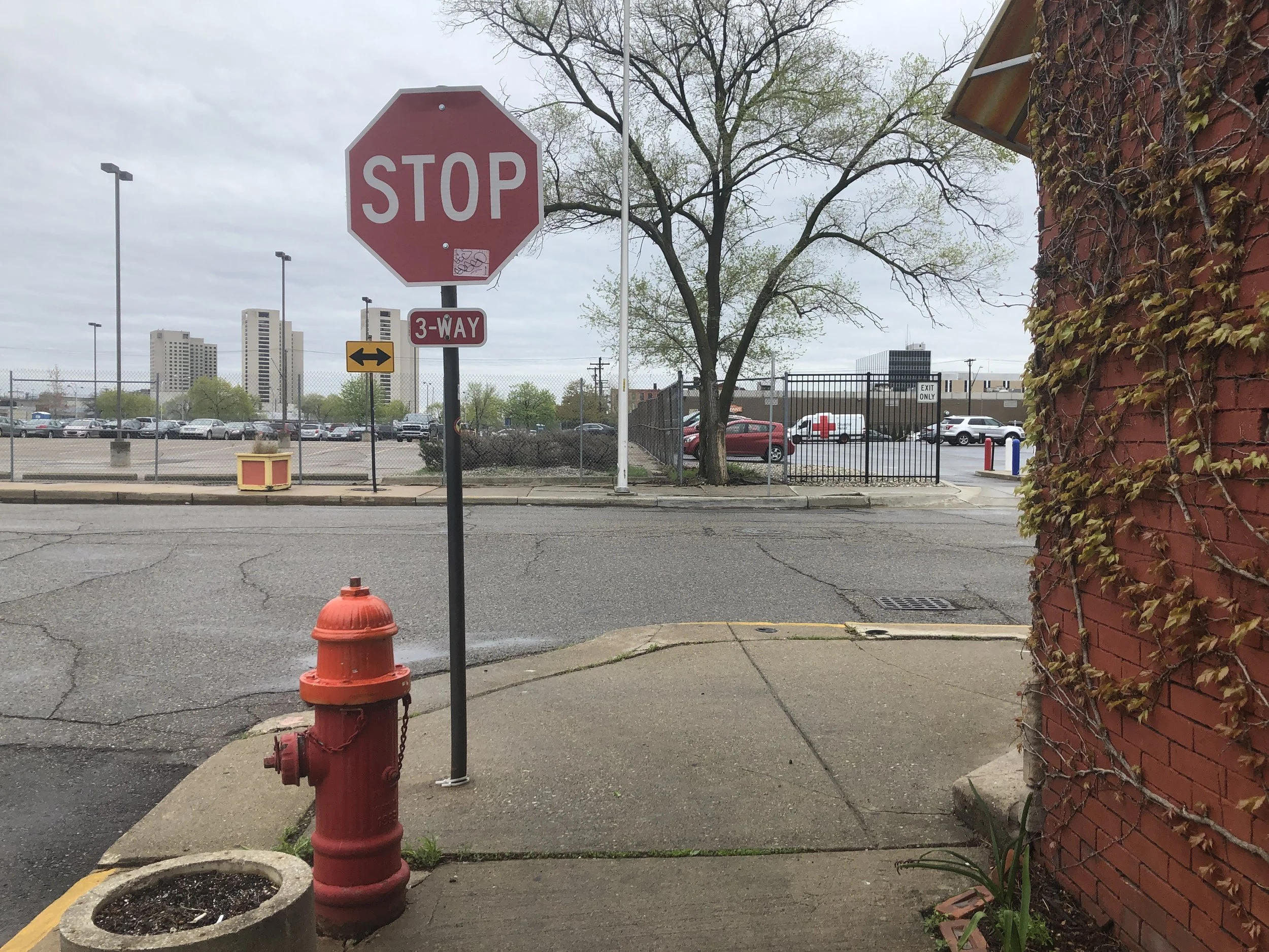 デトロイトが生んだ女性政治家