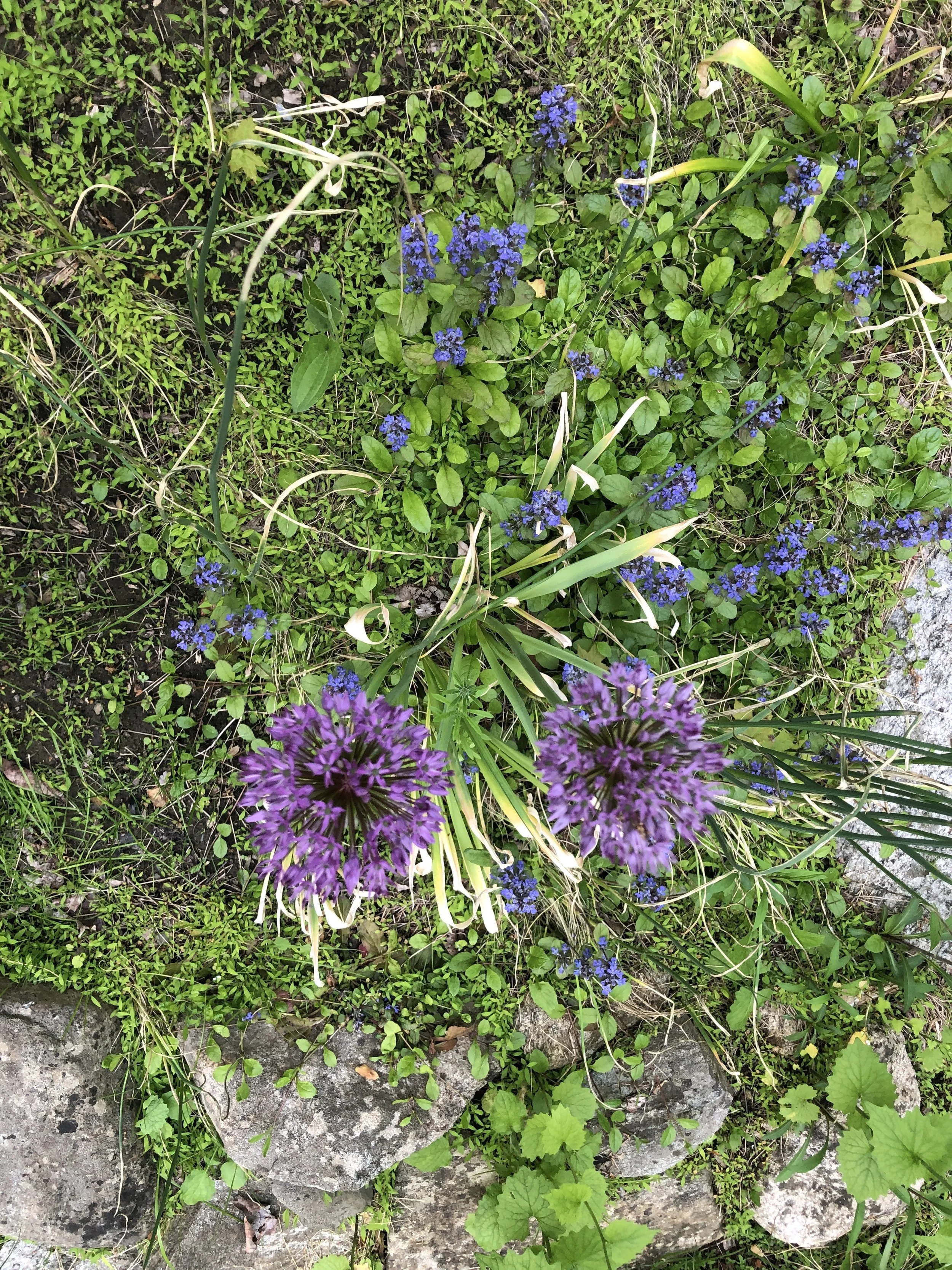 ニューヨークをペテンにかけたニセ・セレブ事件、その後