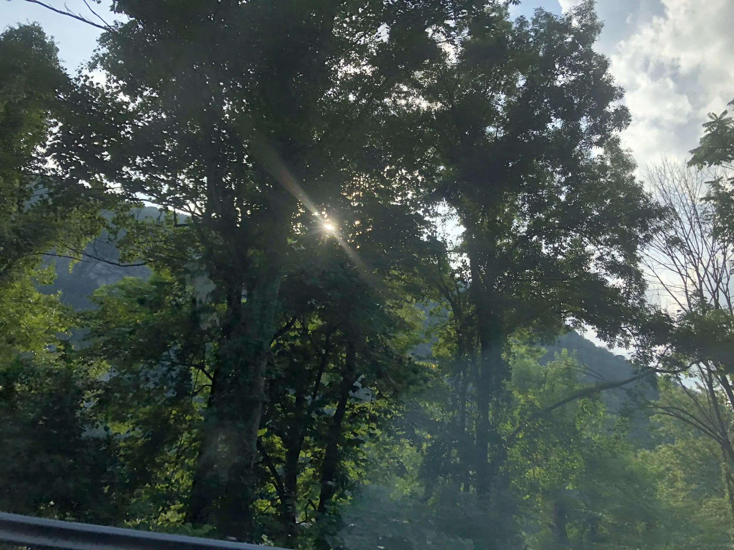 ポートランドの極右集会