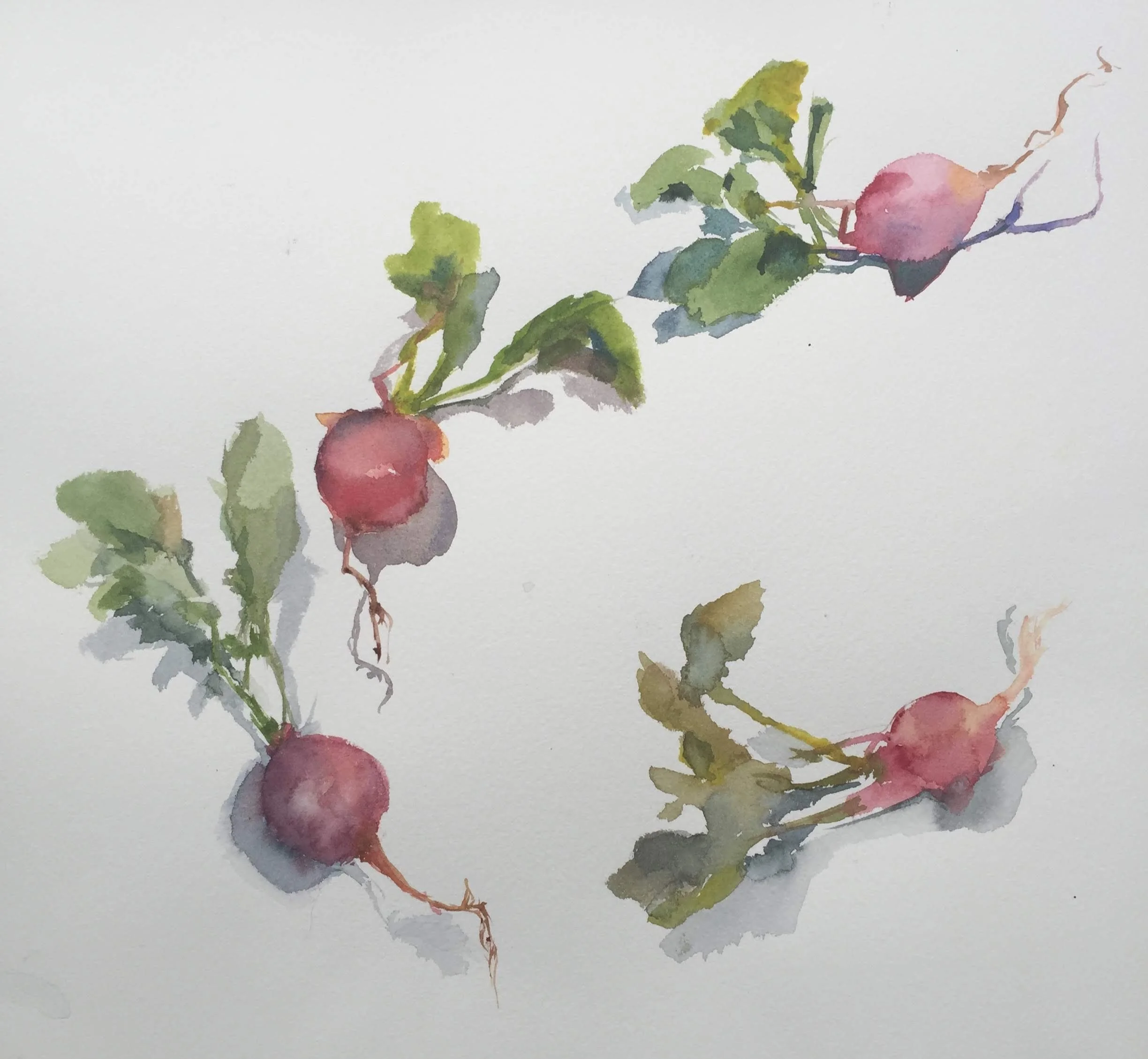 WATERCOLOR