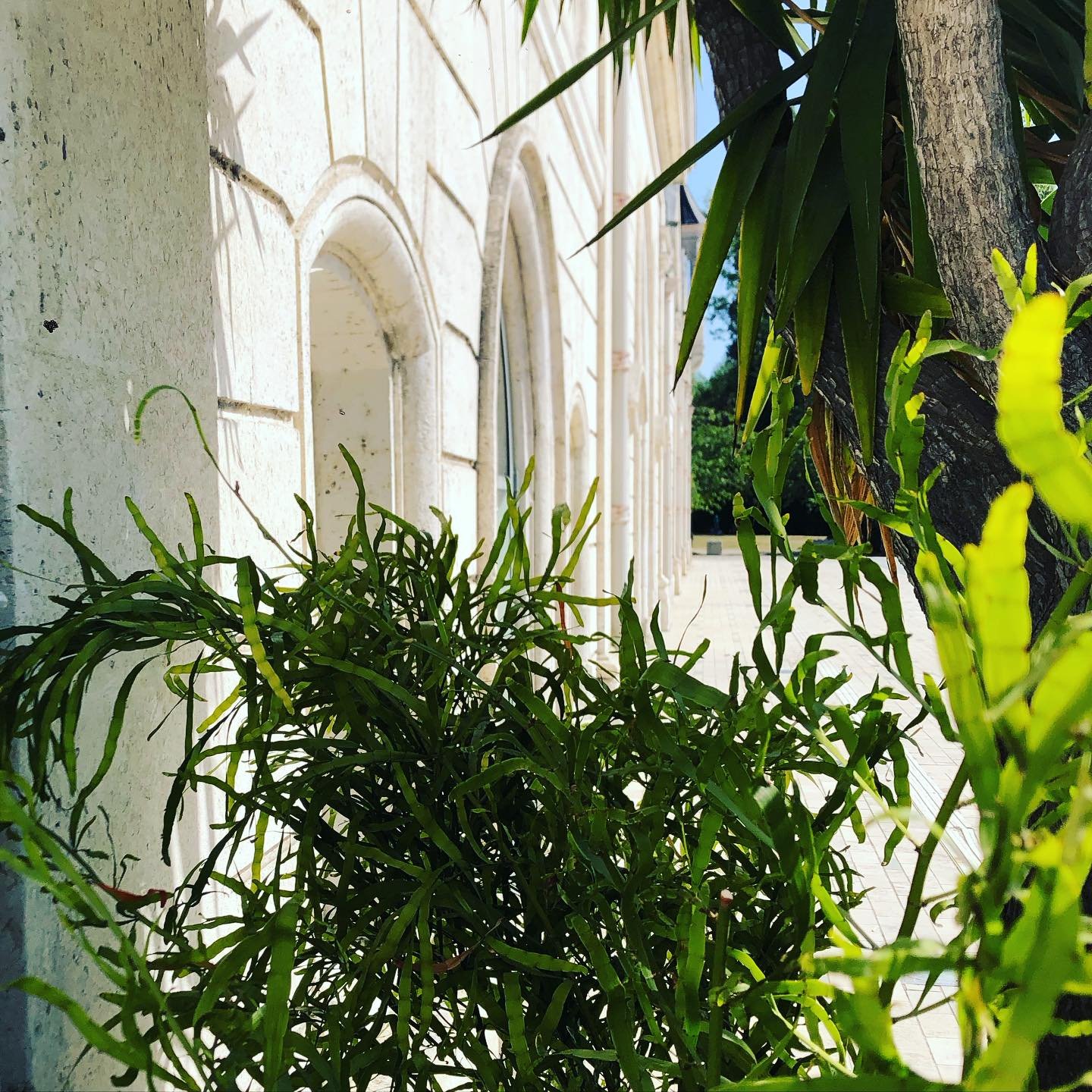 [ ✨Les Actus de Clio ] 
Fin du suspense ! 
Je suis ravie d'annoncer que je rejoins l'&eacute;quipe du mus&eacute;e de la bande dessin&eacute;e de la @cite_de_la_bande_dessinee  en tant que renfort - charg&eacute;e de production des expositions tempor