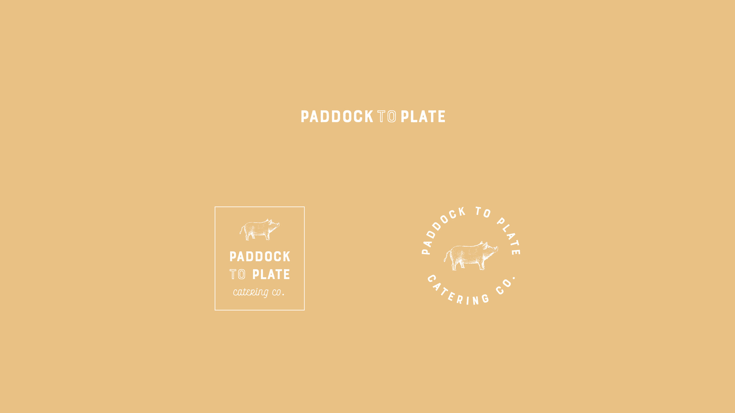 PaddocktoPlate-CaseStudy-Photos2.jpg