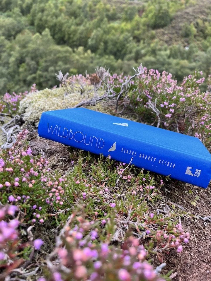 Wildbound's Pub Day - A Note for Readers